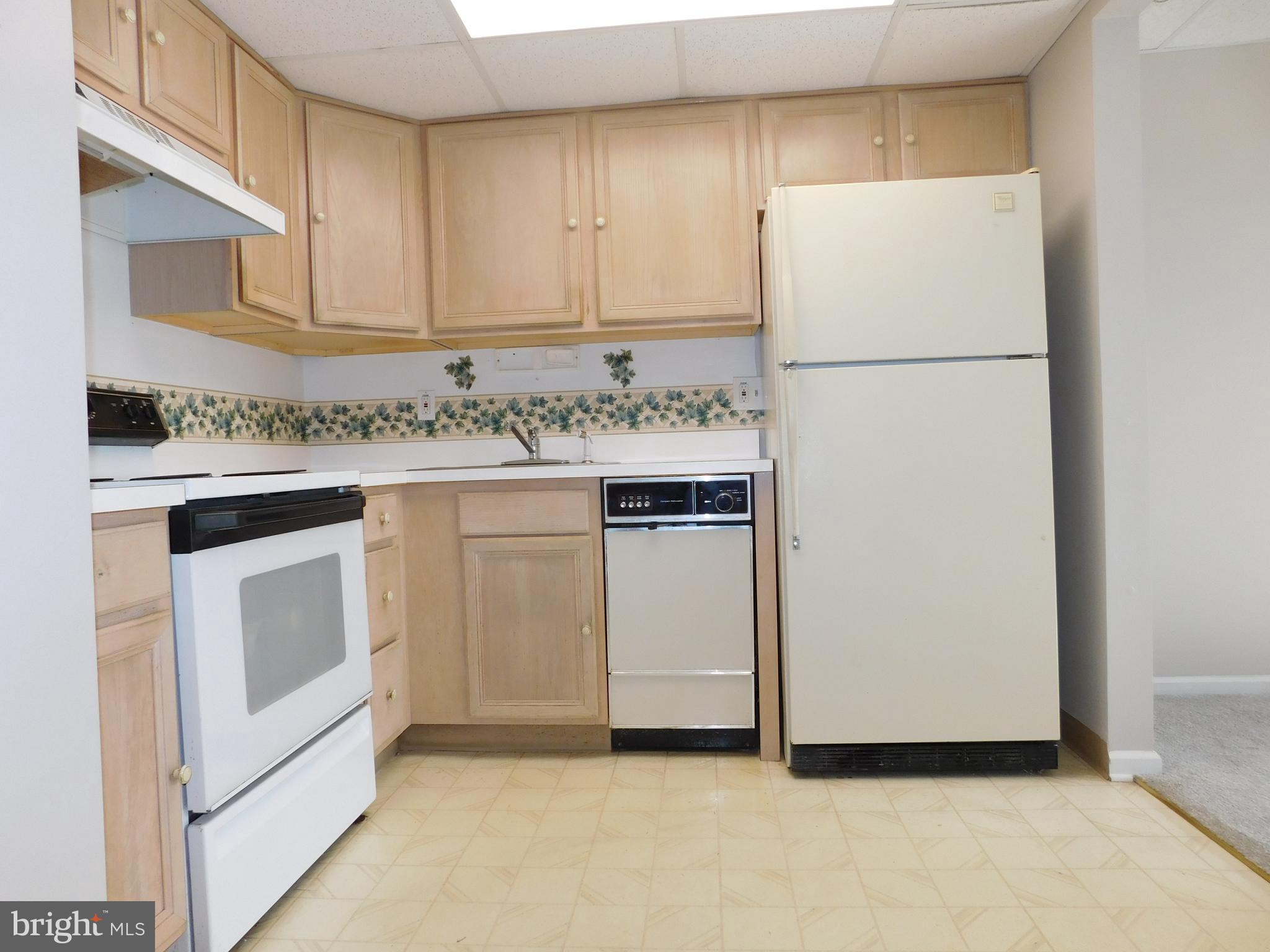 CENTENNIAL STATION - Residential