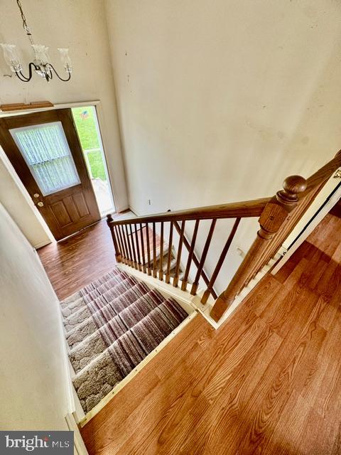 ELIZABETHVILLE - Residential