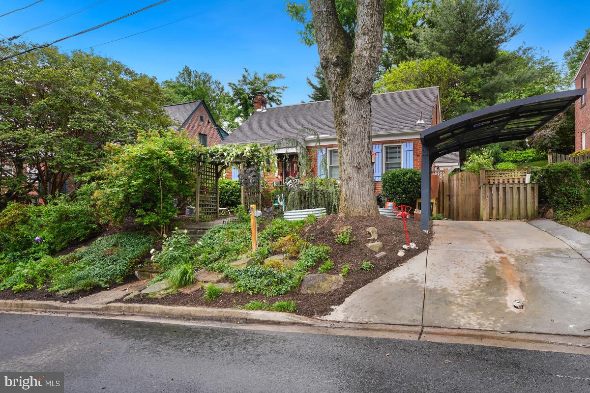 TAKOMA PARK - Residential