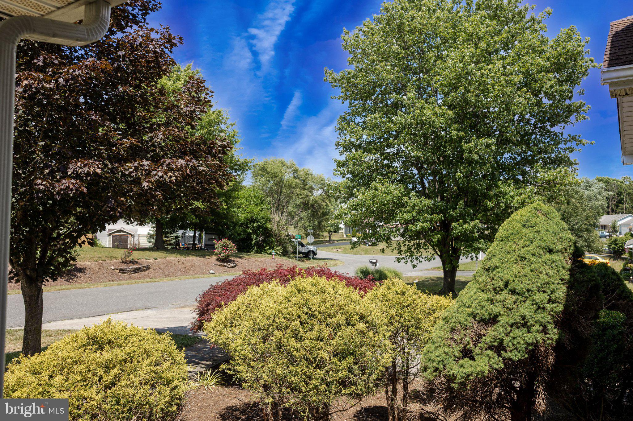 CARLISLE HEIGHTS - Residential