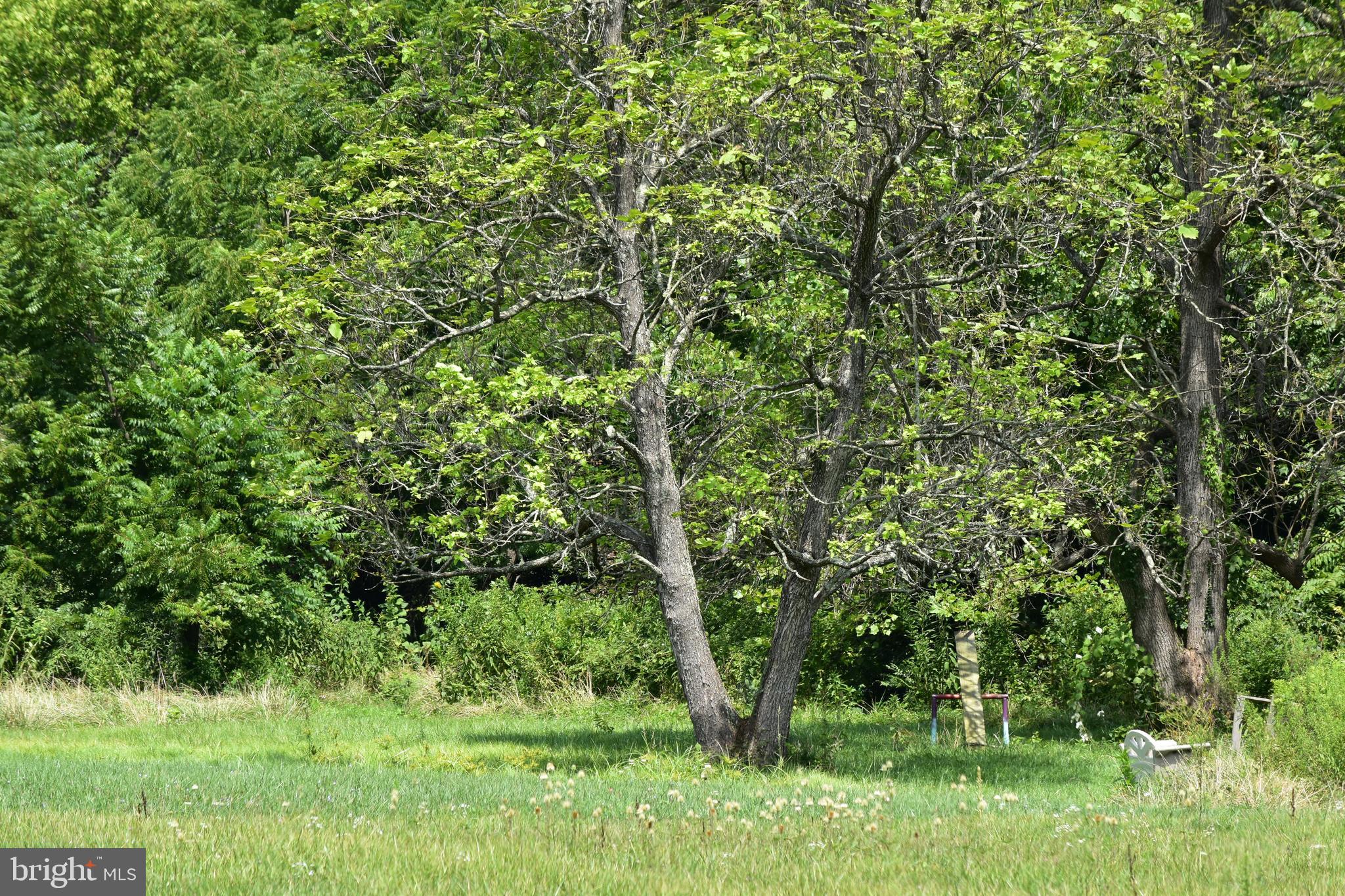 Have you been thinking about purchasing a getaway property that you can use for recreational purposes?  This property may be what you were looking.   Close to the Skyline Drive, National Parks, the Shenandoah River and The Town of Front Royal, there will be no shortage of activities and dining establishments for you to enjoy.  The property has a creek running through both parcels and is the located in the floodplain.  Please direct any questions regarding building or other uses permitted on this property to Warren County Planning and Zoning.