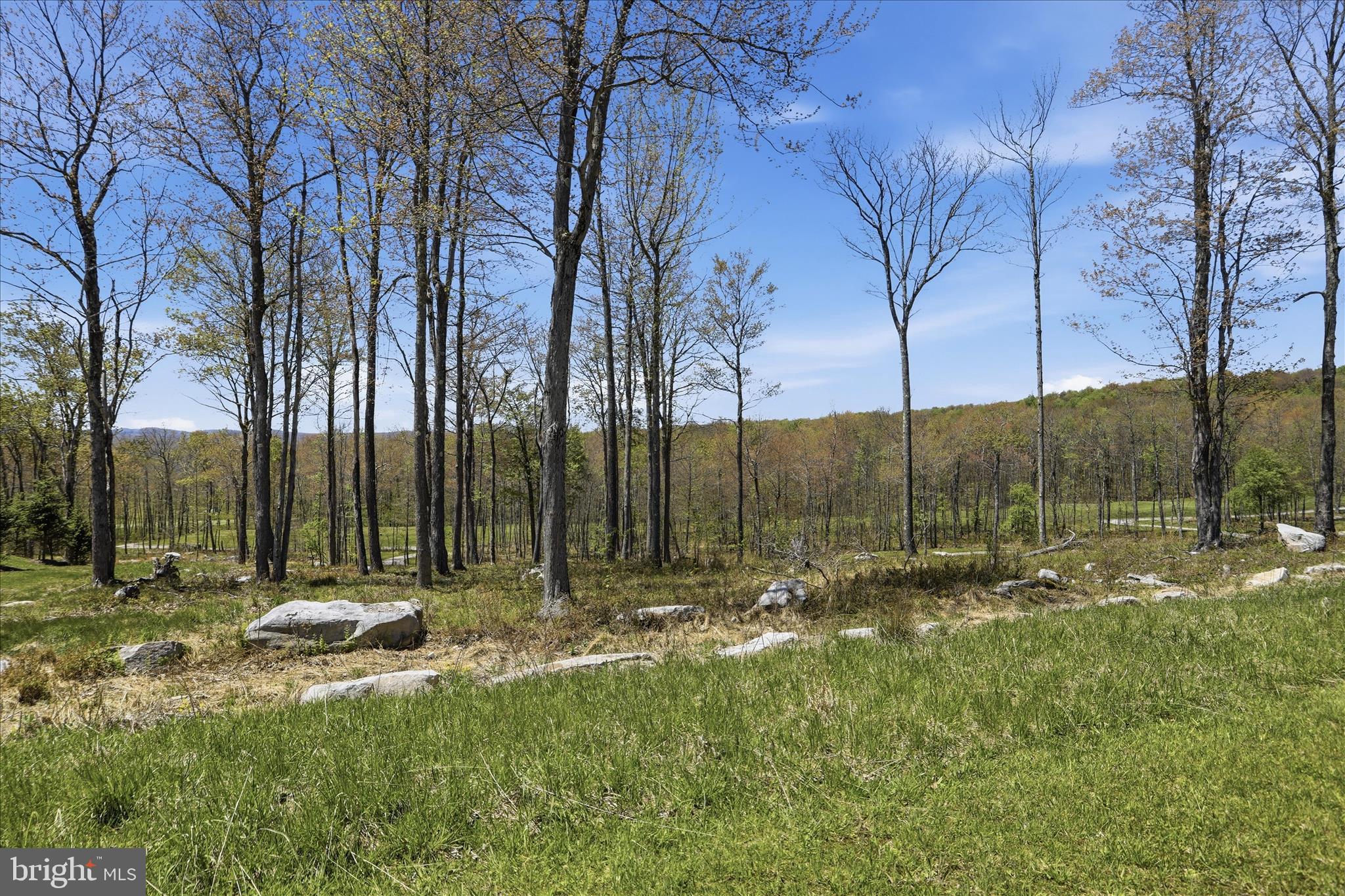 LODESTONE ON THE GOLF COURSE - Land