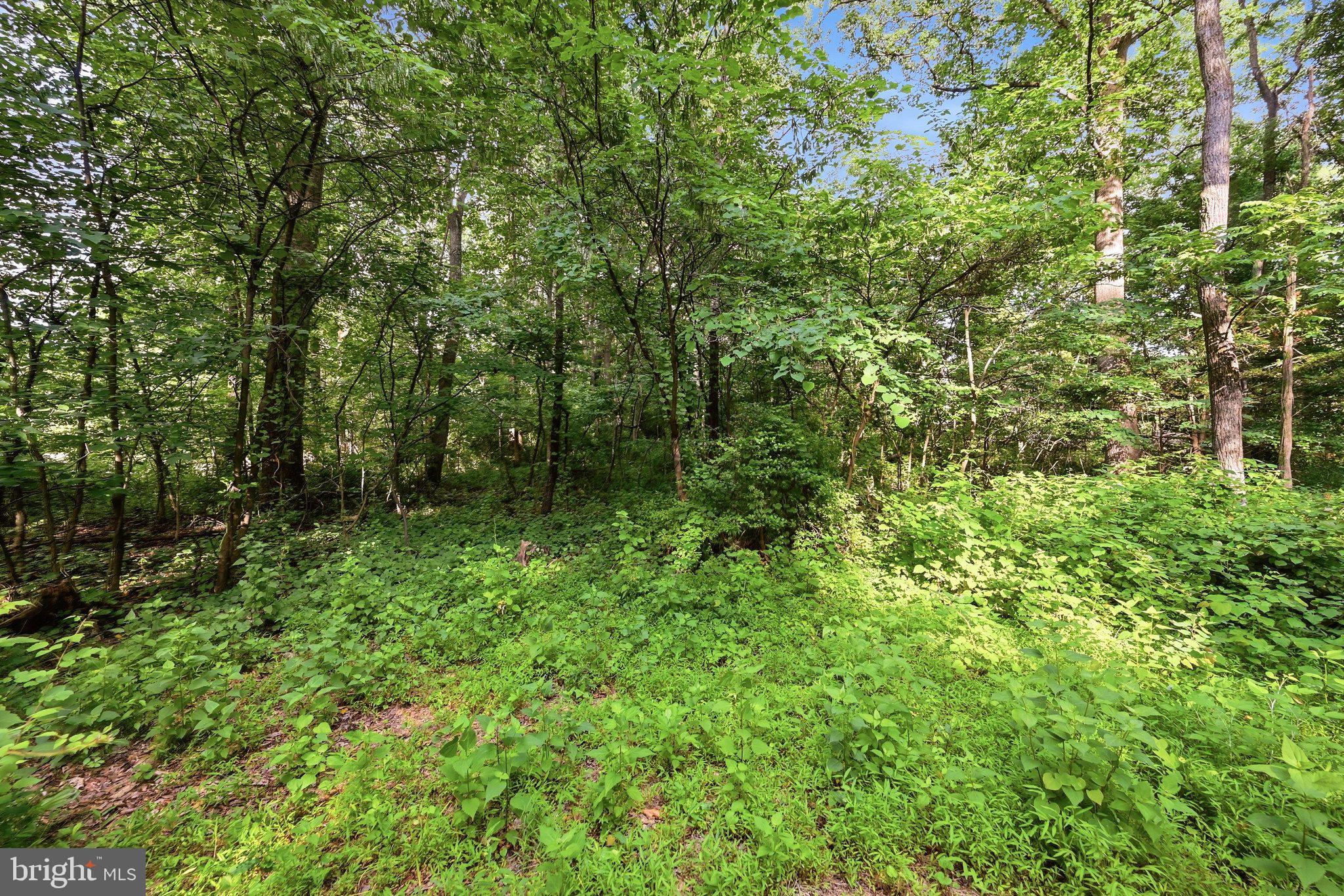 SHAWNEELAND - Residential