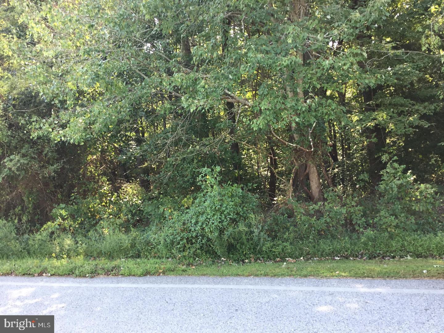 2 Adjoining Lots in highly desirable LaPlata location off of Rt. 488.  One lot totals 10.23 Acres, the other 0.73 Acres, totaling just under 11 Acres.  The 0.73 acre lot provides road frontage on Hawkins Gate Road to access the 10.23 acre lot.  No perc test has been done yet.  Seller will consider an offer subject to a perc test.  Please see DOCUMENTS for a plat/drawing of the lots.  The lots are located across the street from  6730 Hawkins Gate Rd.  Please do NOT park on the small parking pad to the left of the lot,  Park on the side of the road instead.