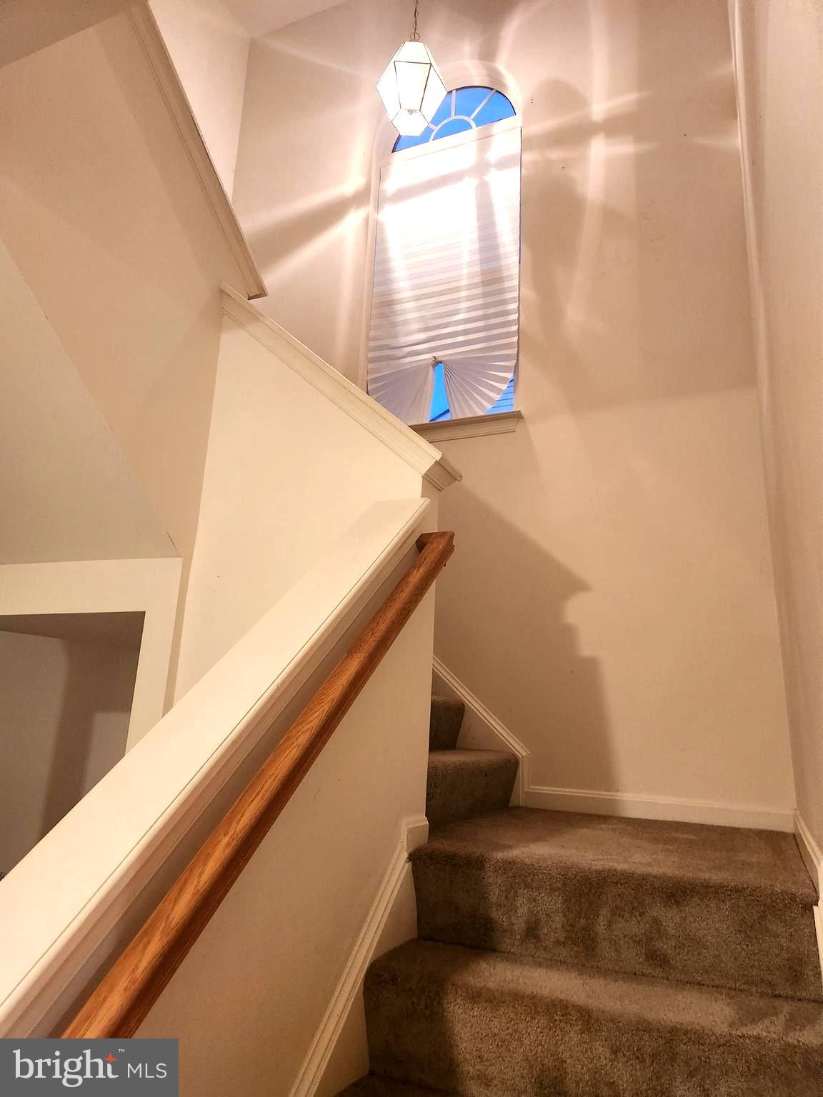WEXFORD - Residential