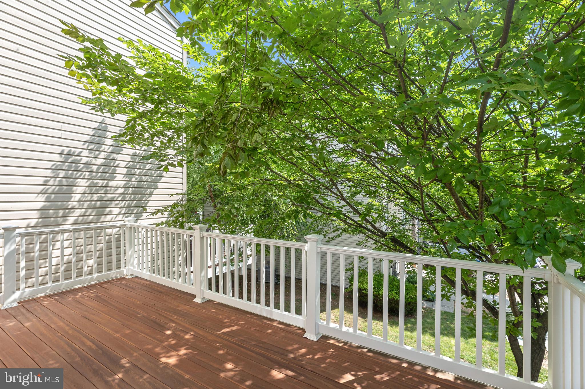 BELMONT STATION - Residential