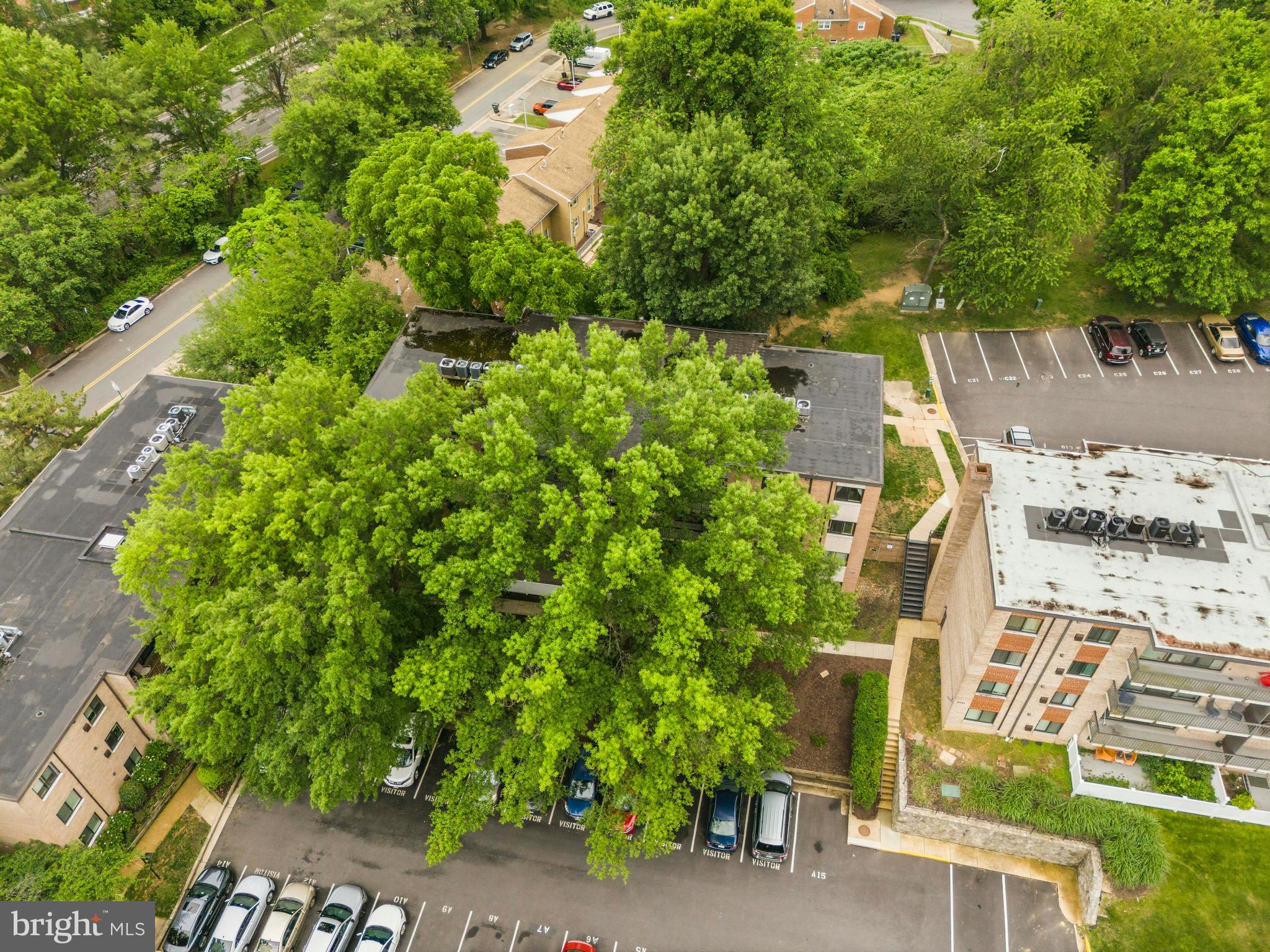 BOLLING BROOK - Residential