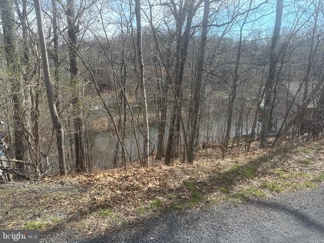 LAKE HOLIDAY ESTATES - Land
