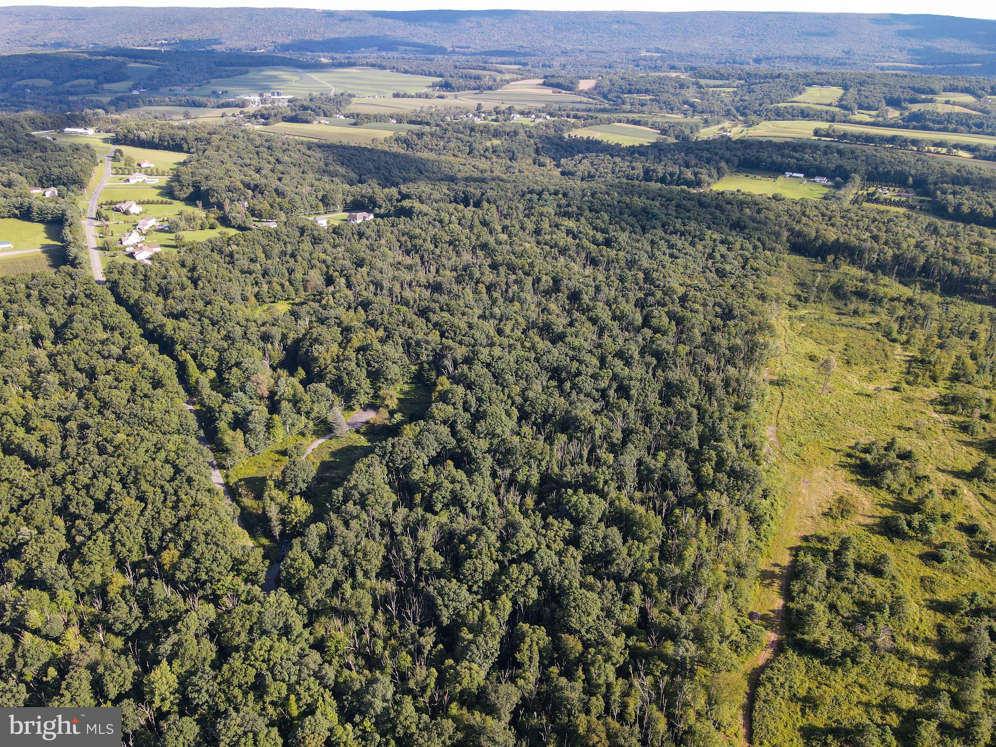 DREAM LOT FOR YOUR DREAM HOME. Only 2 out of the 5 lots remain! Extraordinary and unique opportunity in beautiful West Penn Township. Just minutes from Route 309, you’re equidistant from the greater Lehigh Valley and Reading, and within the Tamaqua Area School District. LOT 2 comprised of 10.645 Acres of wooded solitude with the rear of each lot offering beautiful views of the Pennsylvania hills. The ample size of each parcel presents the opportunity to take advantage of Pennsylvania’s Act 319, “Clean and Green” offering possible tax credits for specified wooded and agricultural land use. Here is the dream lot to build your dream home with ample room to grow in an idyllic location on the perfect country road. Act now!