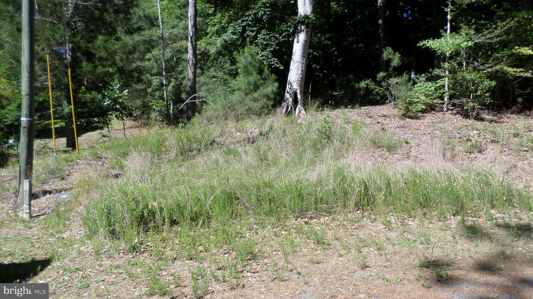 3 BEDROOM PERK APPROVED It's time to build your dream home on this unique piece of land in an amazing location near the beach. This beautiful community is developing fast and is loaded with amenities, including a recreational lake, club facilities, outdoor picnic areas, outdoor BBQ grills, a pavilion, tennis & basketball courts, private beaches, fishing piers, boat ramps, and a playground for kids. Bring the family and enjoy your slice of paradise. 3-bedroom perk approved. The seller has a house plan that will be conveyed at settlement. Community Plat Available.