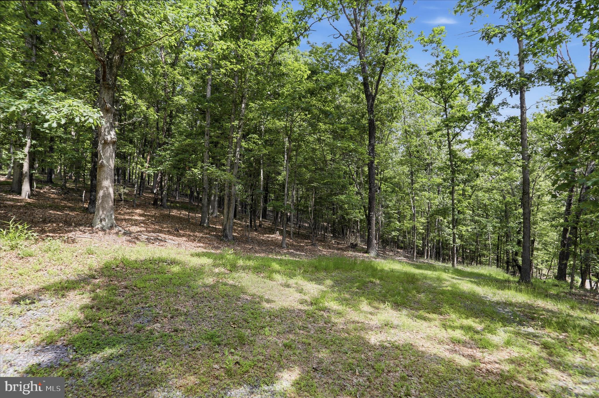 SLIM CHANCE ACRES - Land