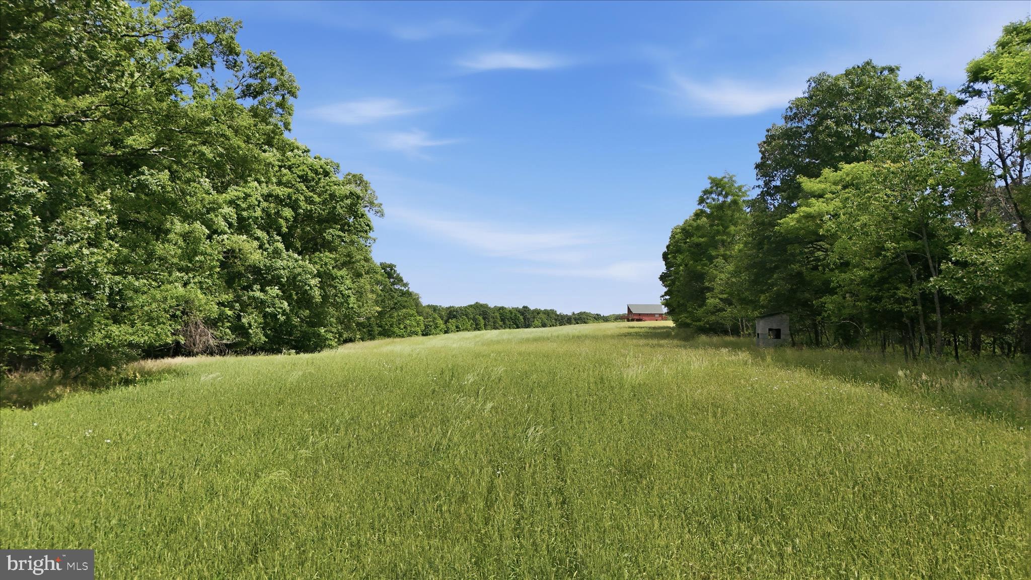 SLIM CHANCE ACRES - Land