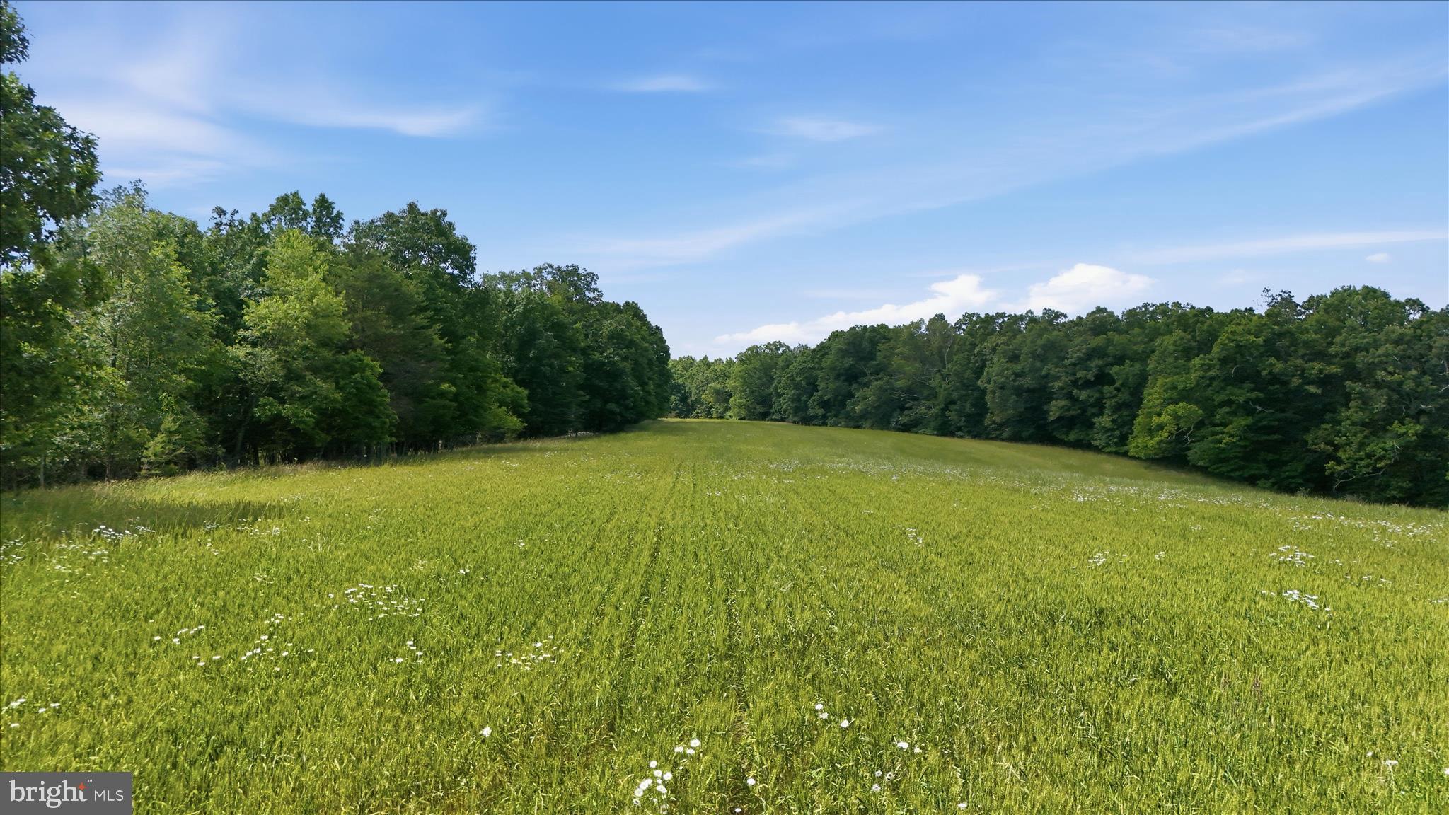 SLIM CHANCE ACRES - Land