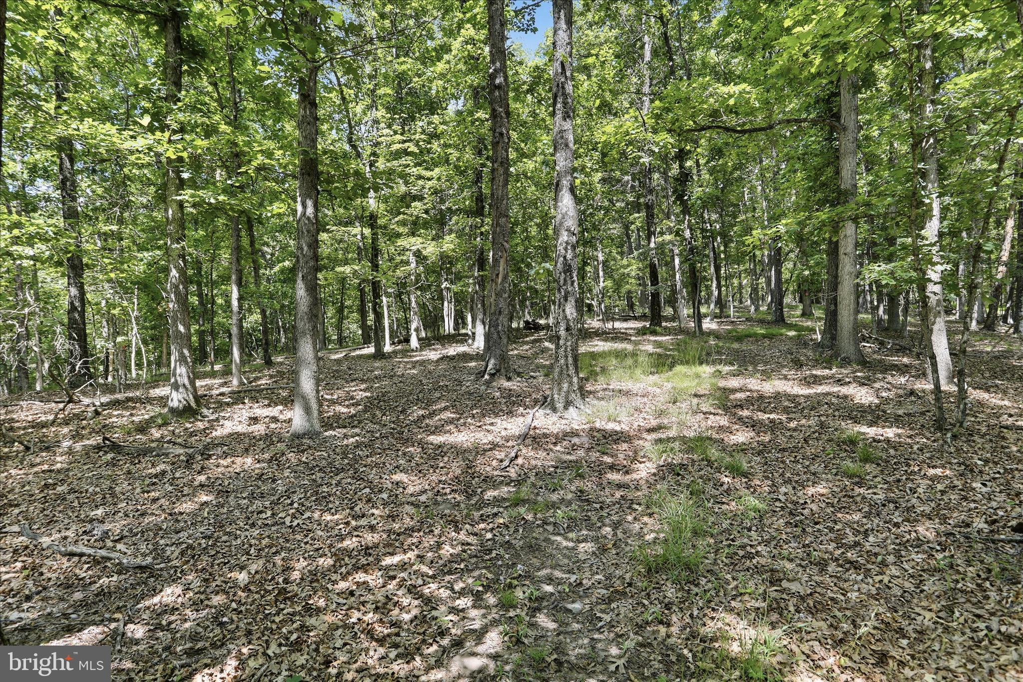 SLIM CHANCE ACRES - Land