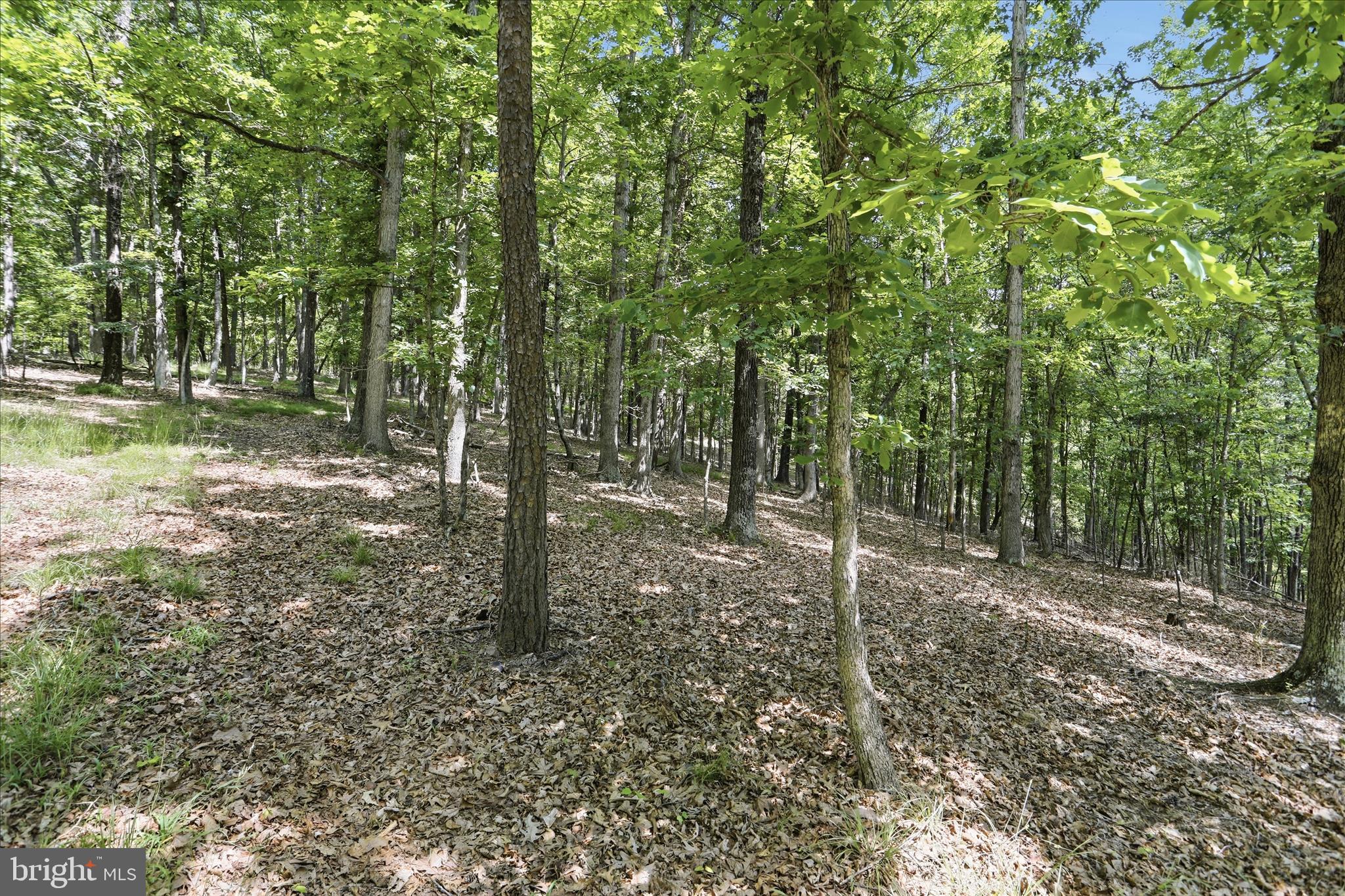 SLIM CHANCE ACRES - Land