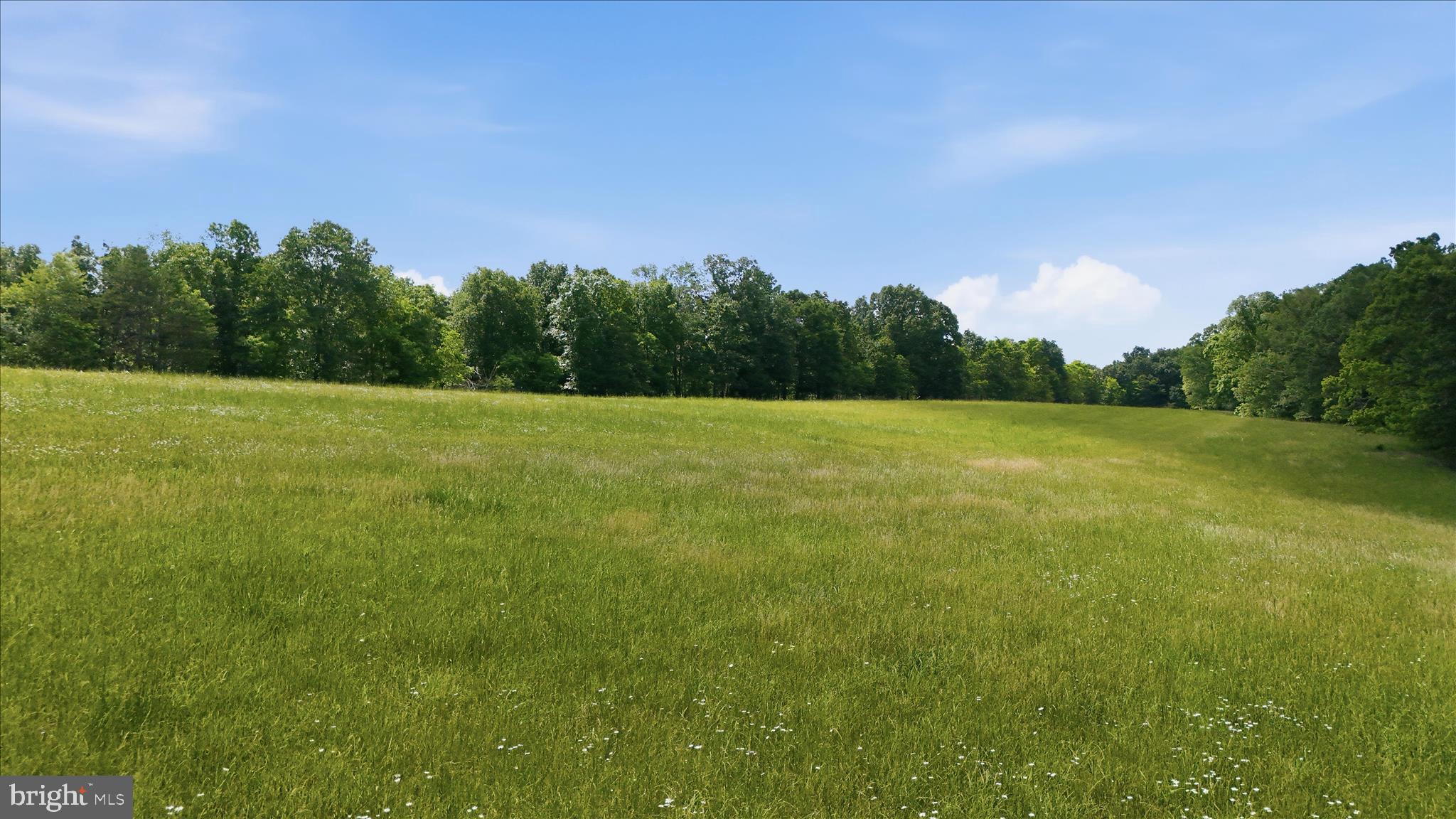 SLIM CHANCE ACRES - Land