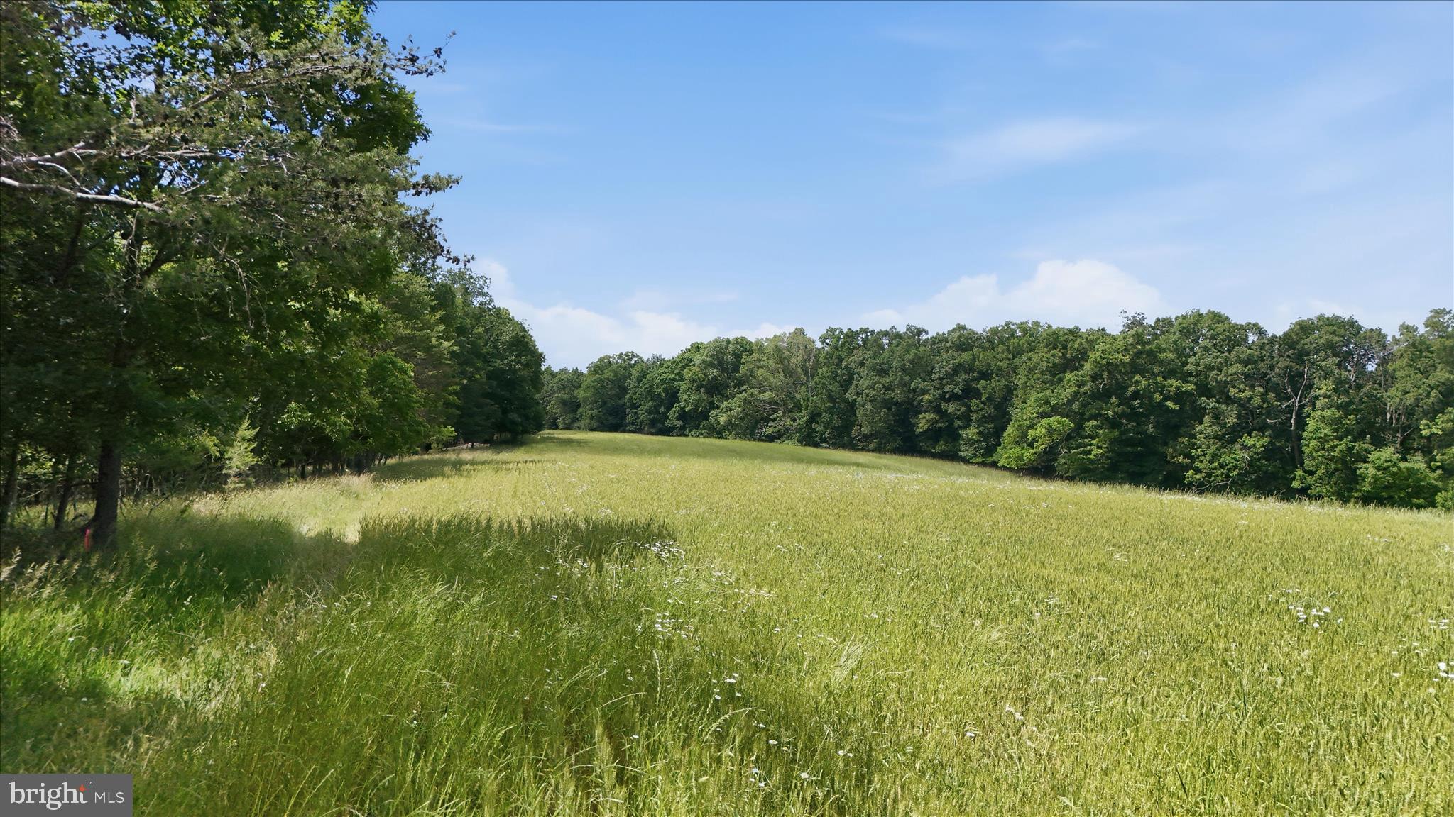 Discover your perfect slice of the outdoors with this versatile acreage offering endless possibilities. Whether you’re seeking a peaceful retreat, prime hunting land, or the ideal spot to build your dream home, this property delivers.Nestled in a quiet, scenic setting, the land features a mix of open space and wooded areas—perfect for recreational adventures, ATV riding, camping, or simply enjoying nature. With abundant wildlife, it’s a hunter’s paradise. The terrain provides natural privacy, making it an excellent location for a secluded residential homesite or weekend getaway cabin.Accessible yet tucked away, the property offers the freedom to create the lifestyle you’ve been dreaming of. If you’re looking for land that works for you—whether for recreation, hunting, or building—this acreage checks every box. Don’t miss the chance to make it yours.