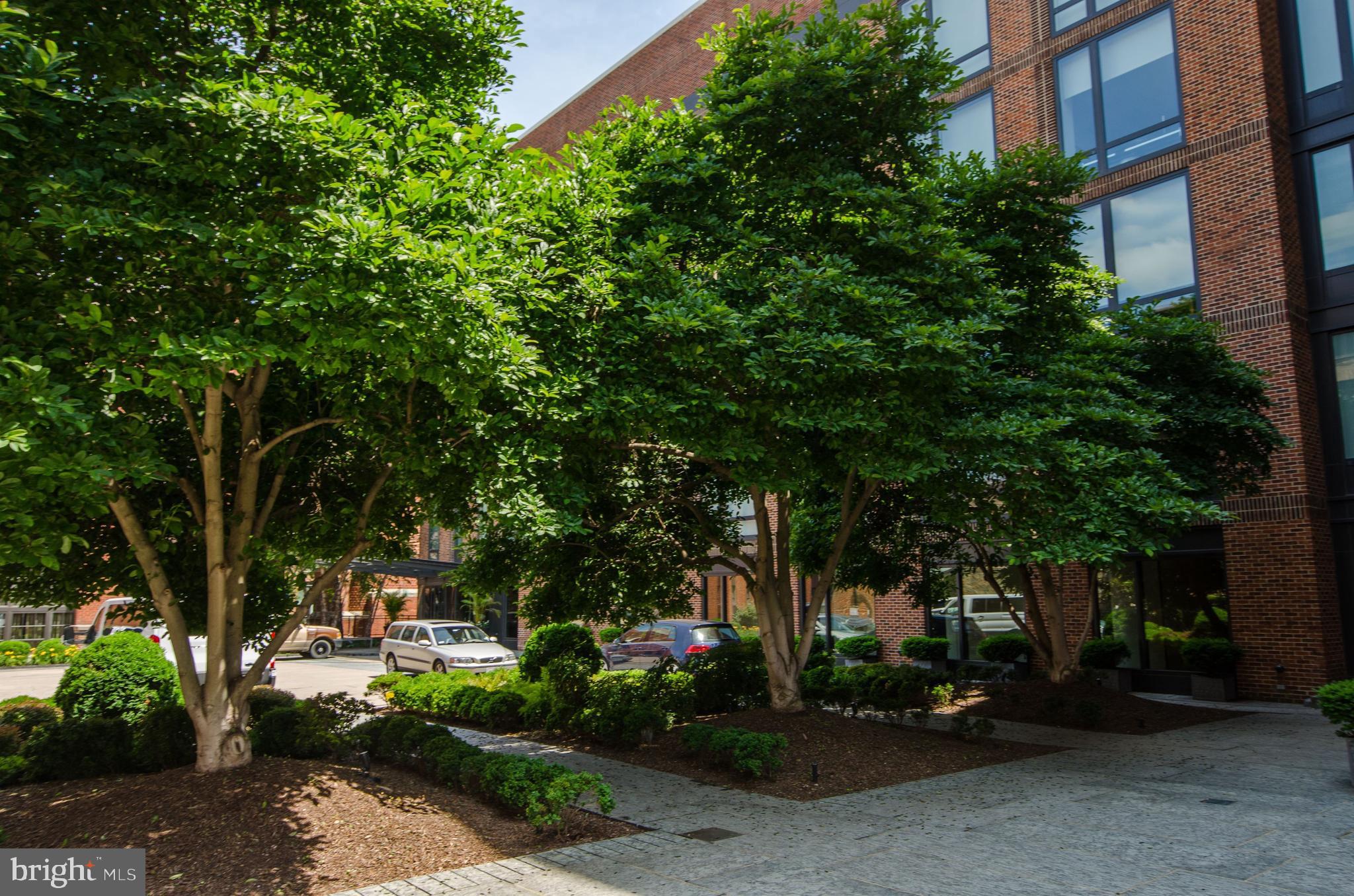 GEORGETOWN - Residential