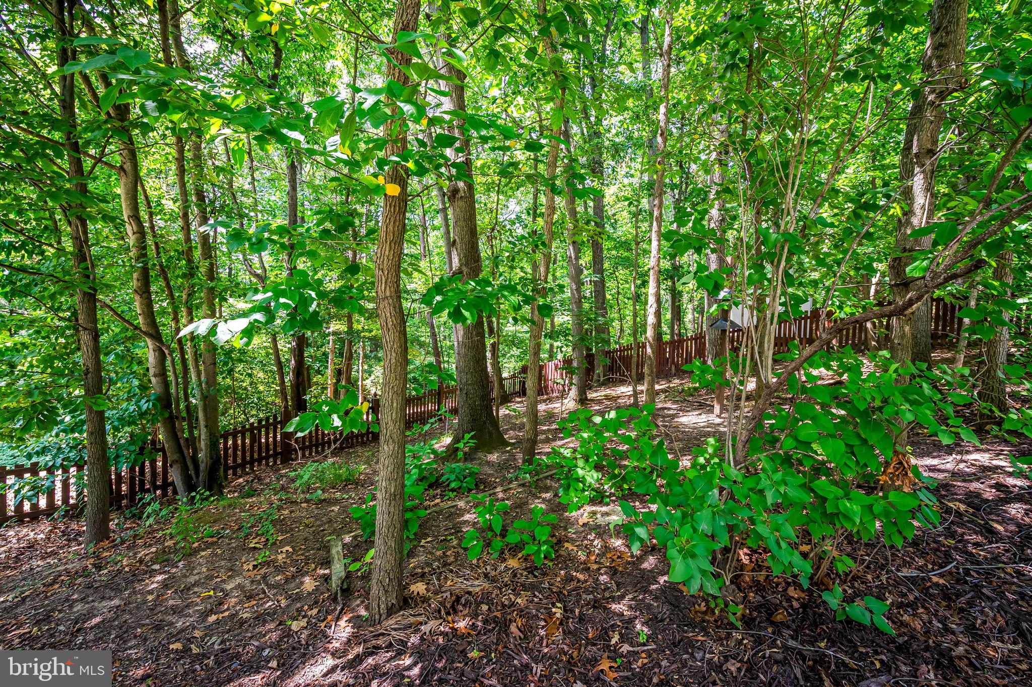 PATAPSCO RIDGE - Residential