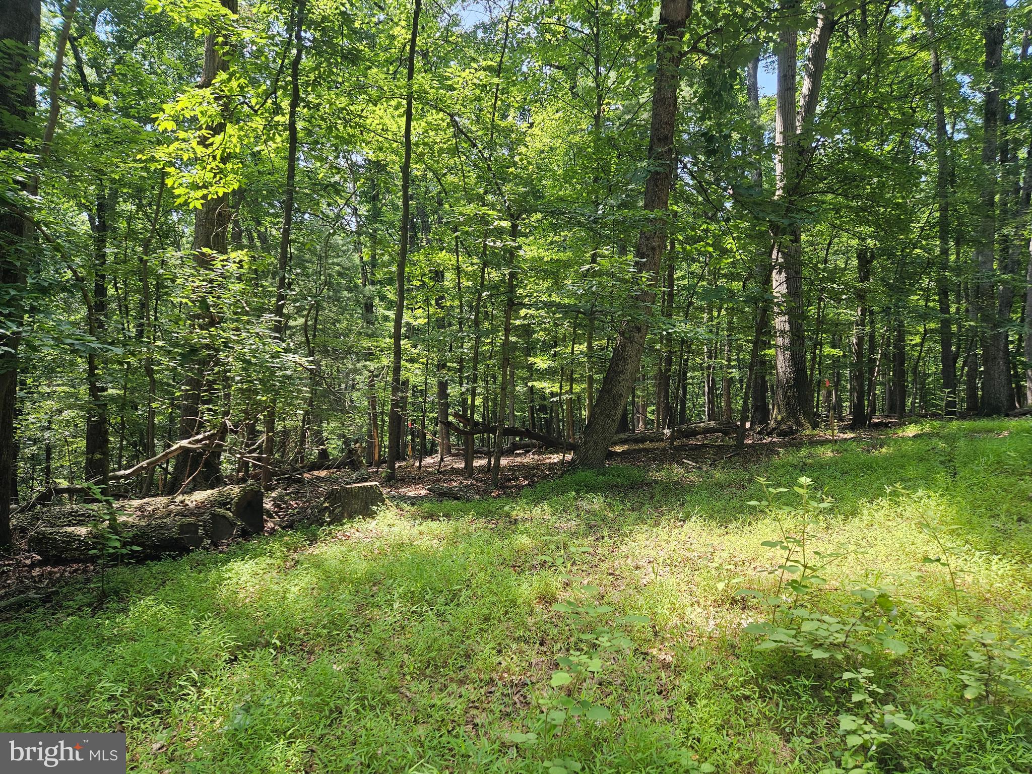 SHENANDOAH RETREAT - Land