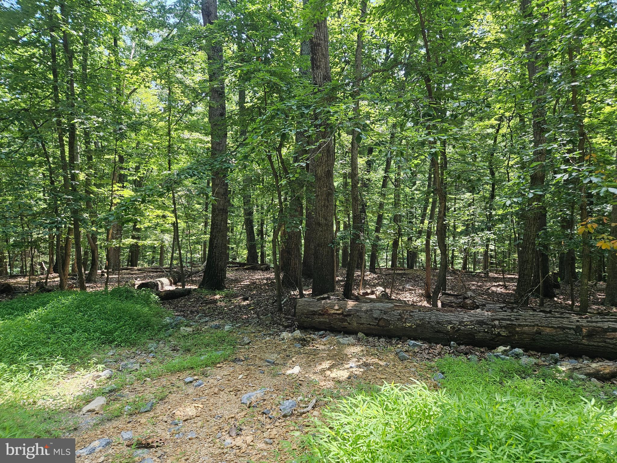 SHENANDOAH RETREAT - Land