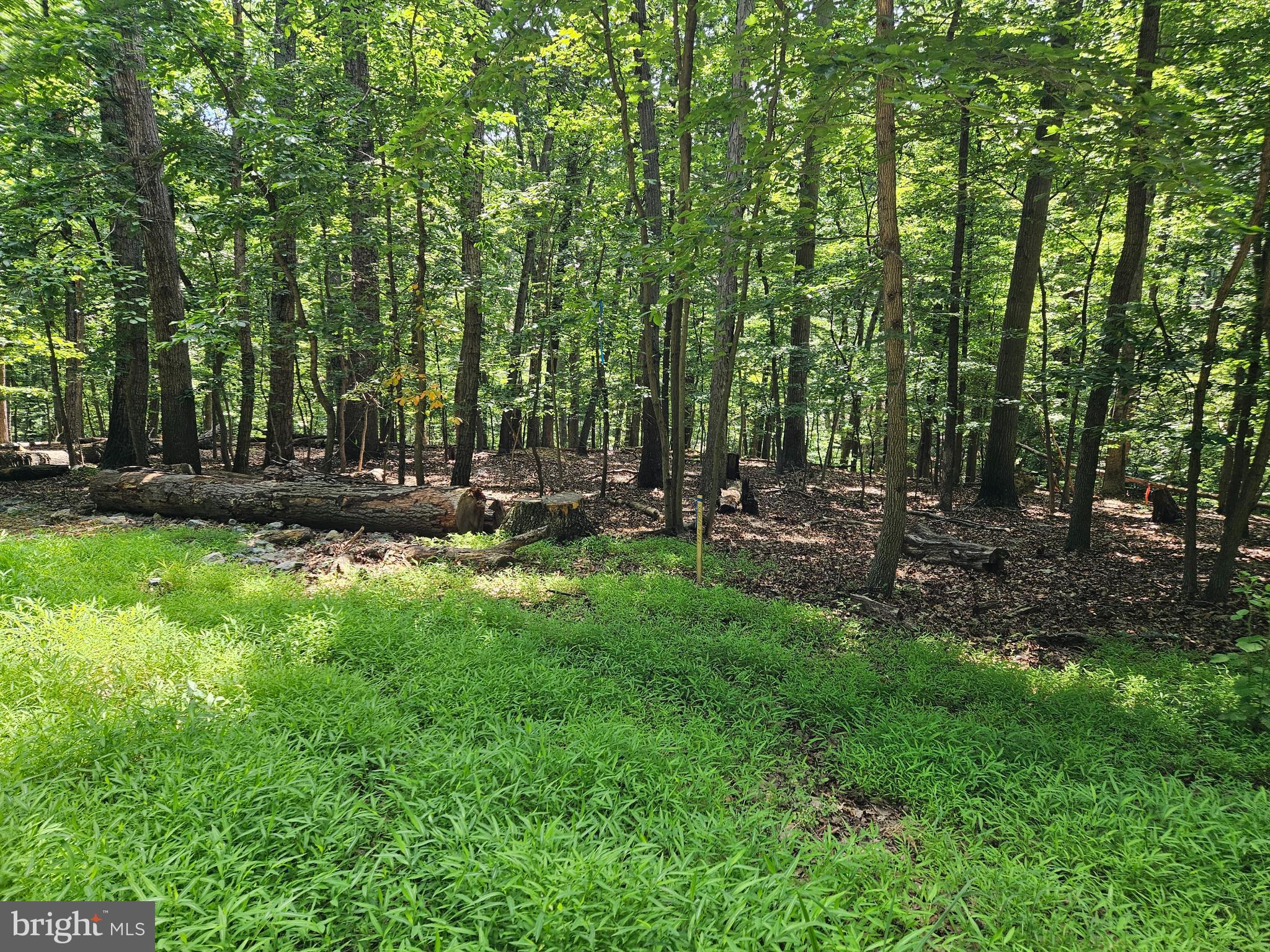 SHENANDOAH RETREAT - Land