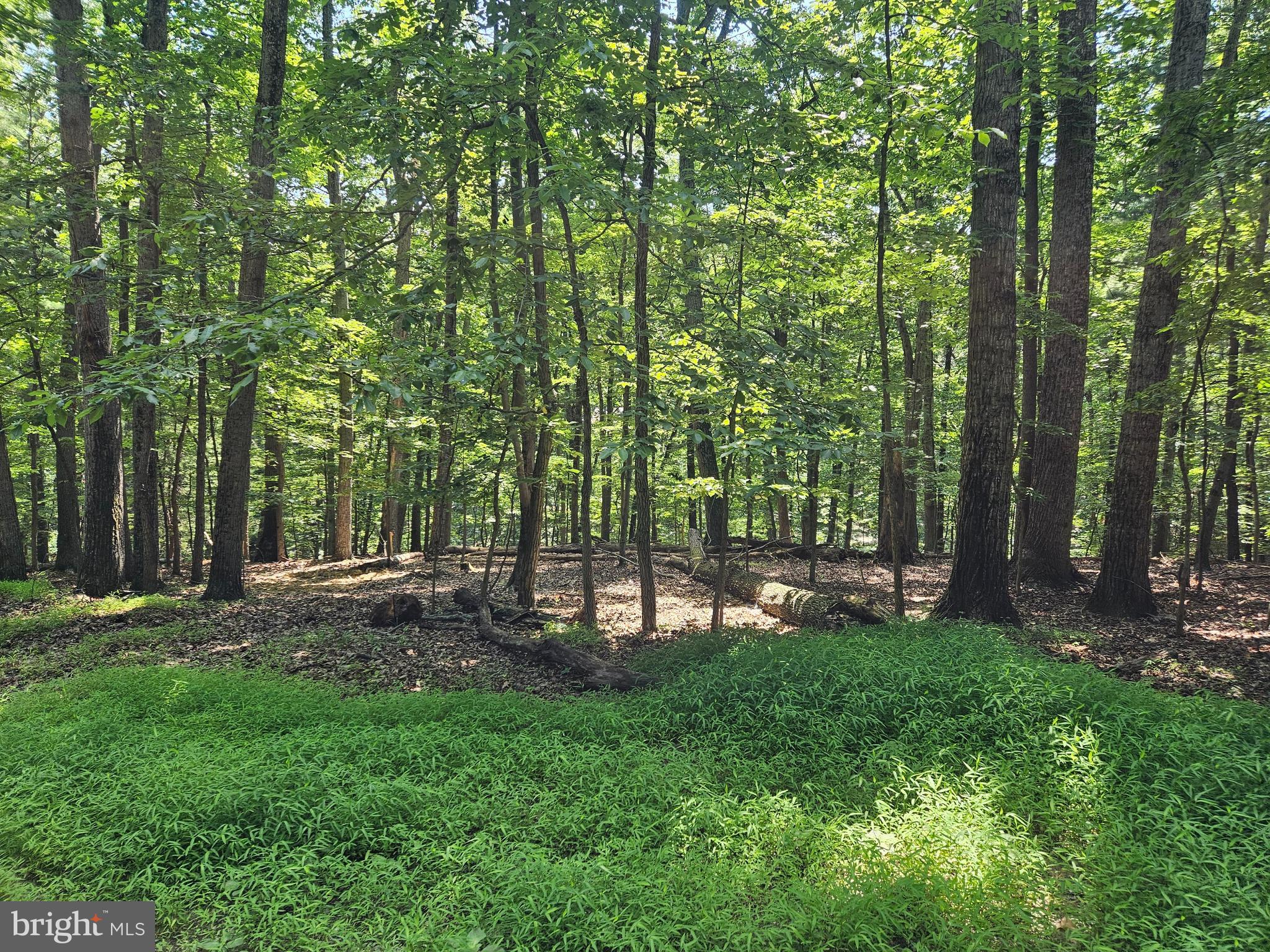 Centrally located between   Purcellville/Leesburg, Berryville/Winchester and the Eastern Panhandle.  Easy access to Rt7 .... great for the Commuters.   XFINITY for those that  work from home. 
 Close to the  Shenandoah River, Hiking  Trails, Wineries, Breweries, Restaurants and more!!  NO HOA.  Let all of your worries wash away while being  be  surrounded by  nature, mature trees and views of the ravine. Plenty of wildlife to enjoy.   Beautiful Private Buildable  lot  with a 2BR perk & approved well site.