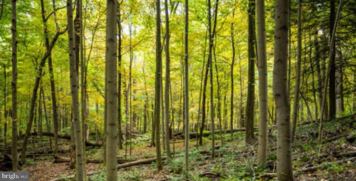 Over 5 + wooded acres behind a locked gate for privacy and security, situated at the end of a peaceful short road with only a few other lots.  A short 12 miles from the Historic town of Berkeley Springs to enjoy the spas, shops and restaurants.  If you enjoy floating on the river, canoeing, or fishing the Potomac and Cacapon Rivers are only 8 miles away.  A lovely lot at any time of the year.