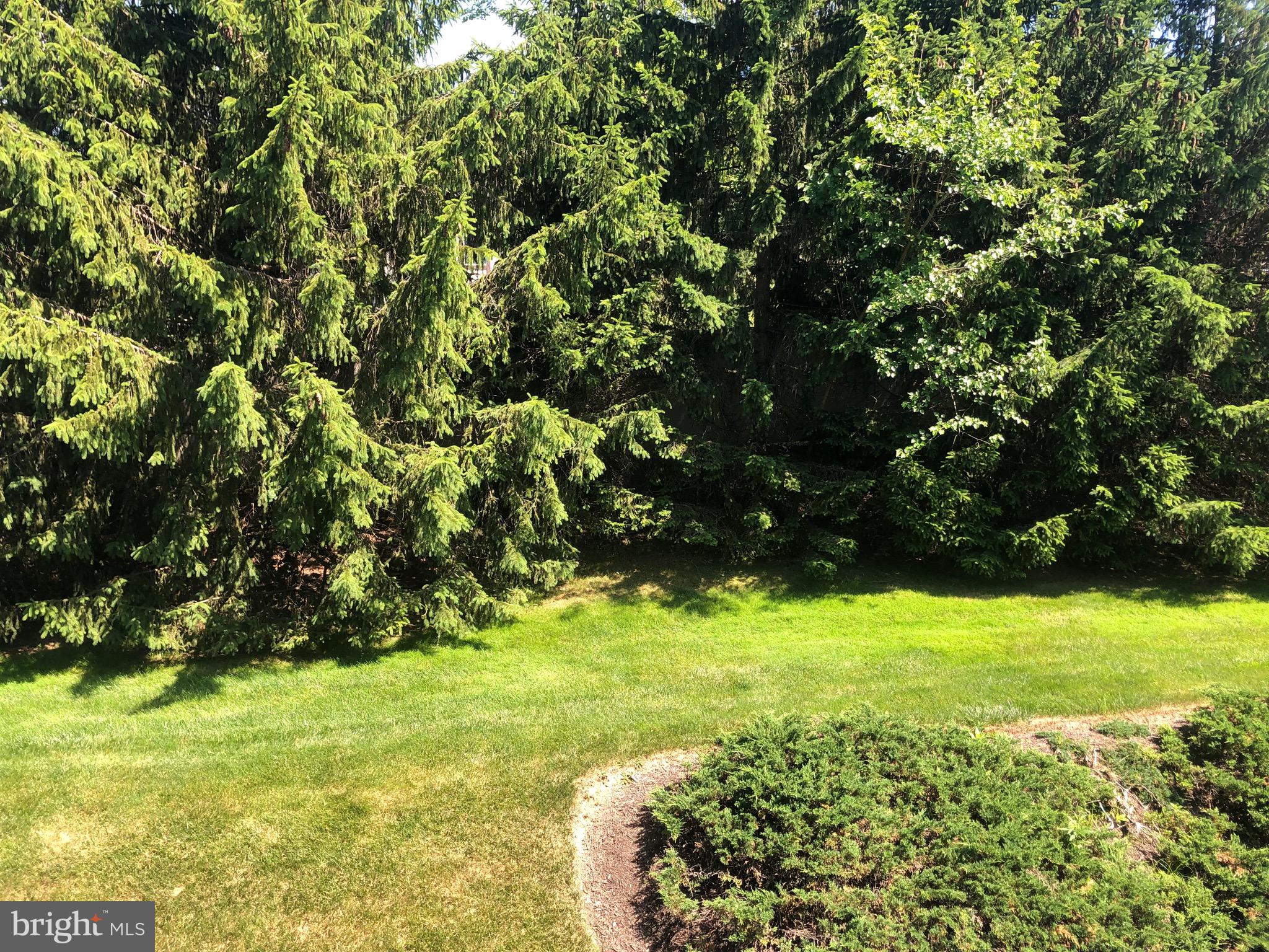 FOREST RIDGE - Residential