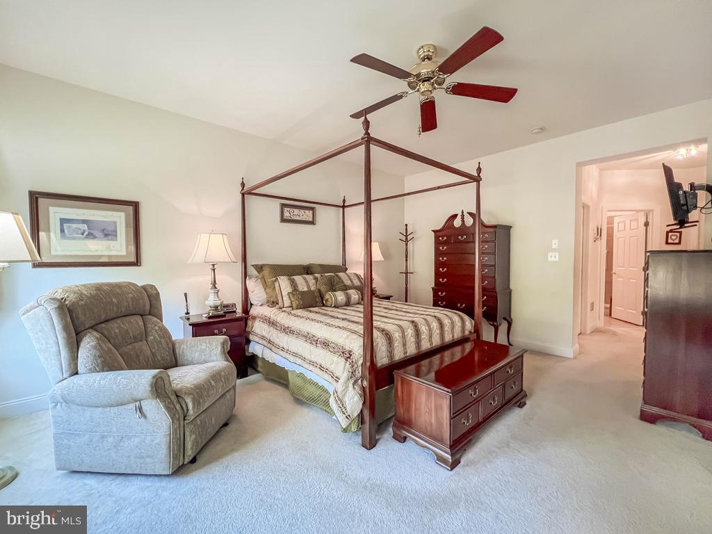 REGENCY AT NORTHAM - Residential