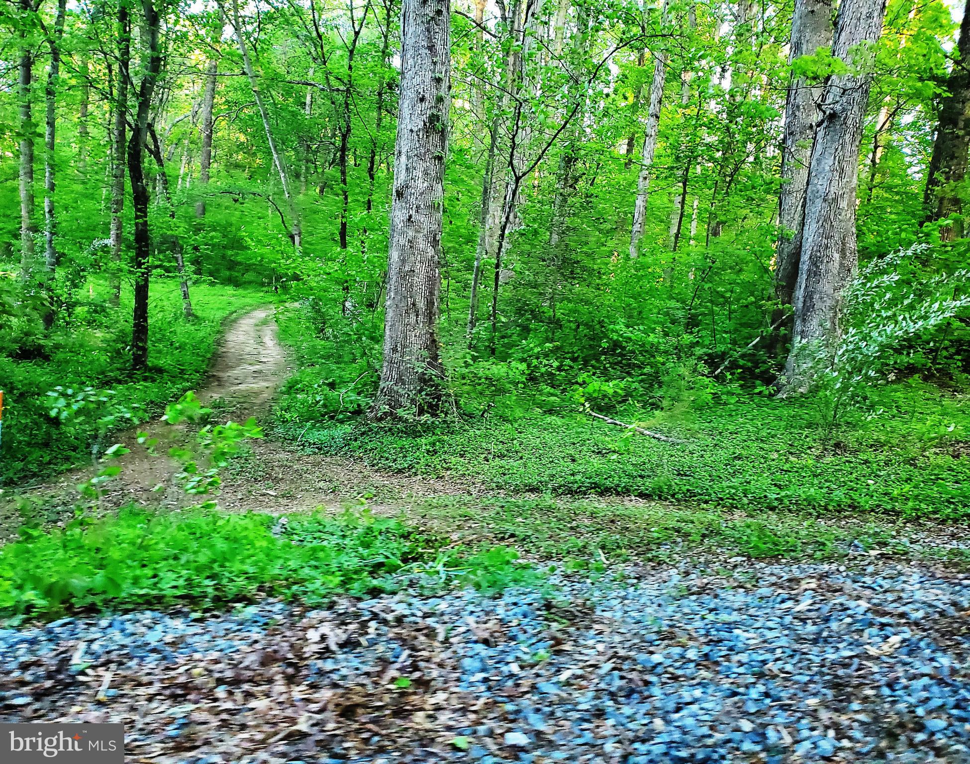 HIDDEN LAKE - Land