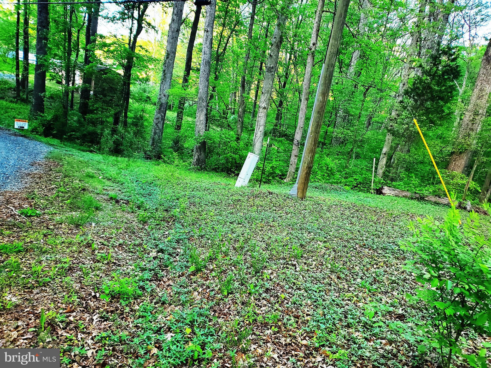 HIDDEN LAKE - Land