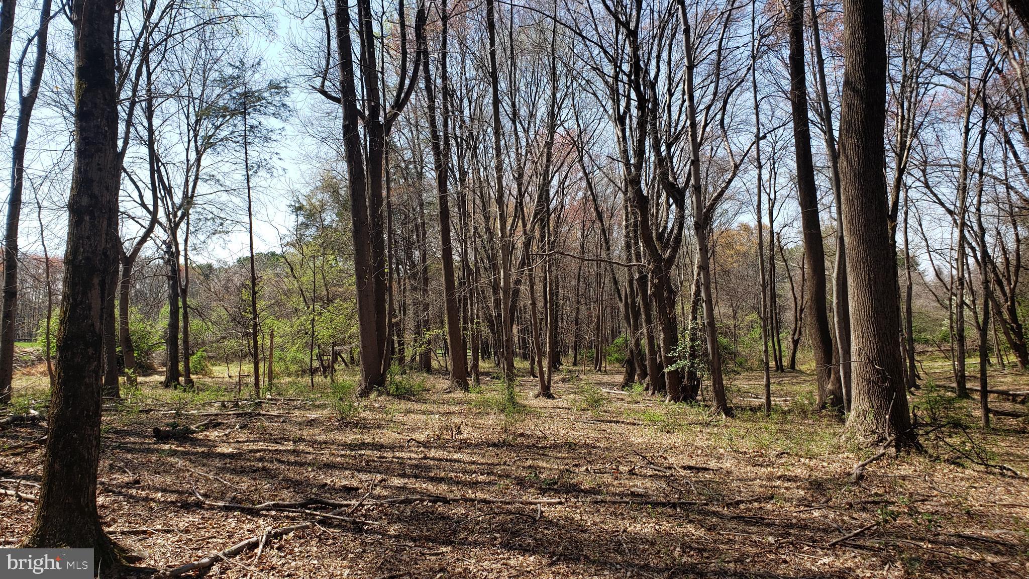 KENTLAND FARMS - Land