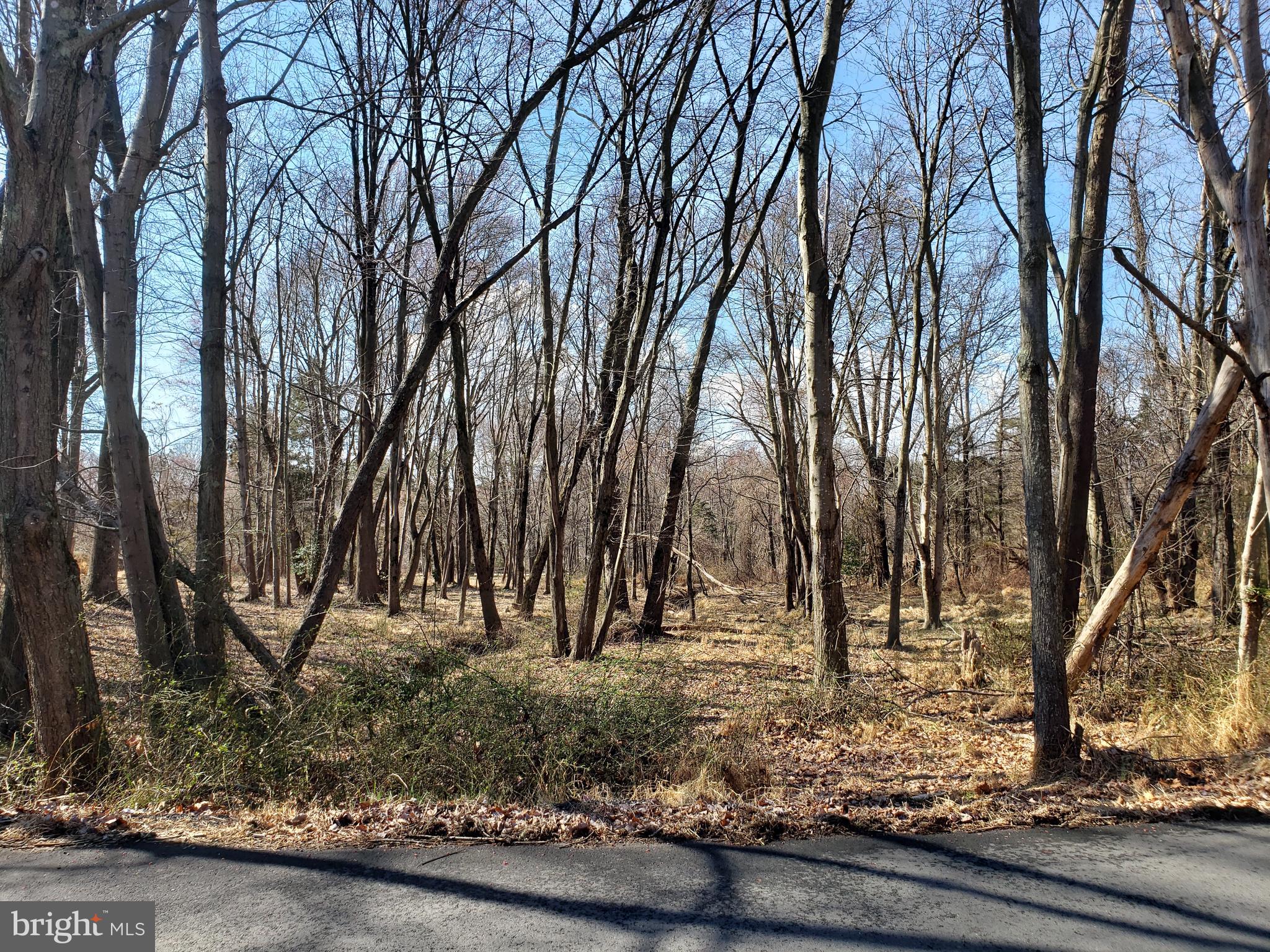 KENTLAND FARMS - Land