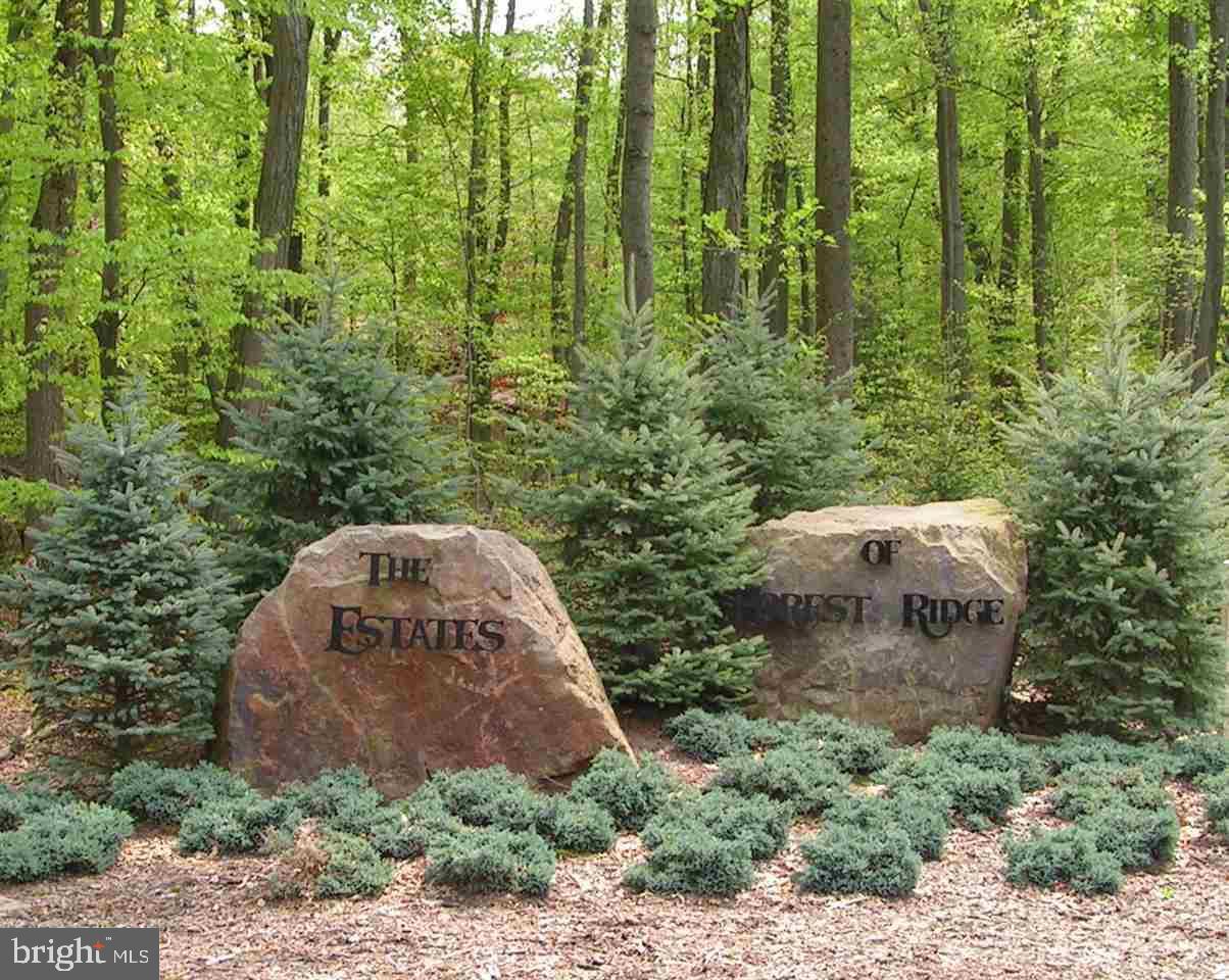 THE ESTATES OF FOREST RIDGE - Land