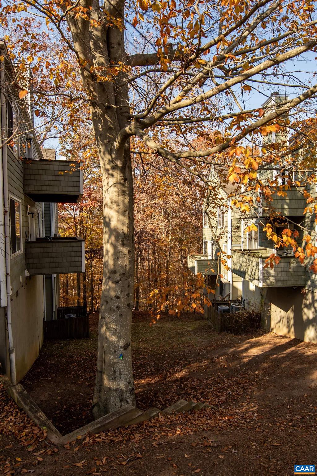 CLIFDEN GREENE - Residential