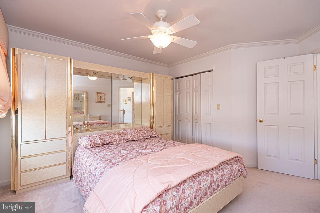 SWANN ESTATES - Residential