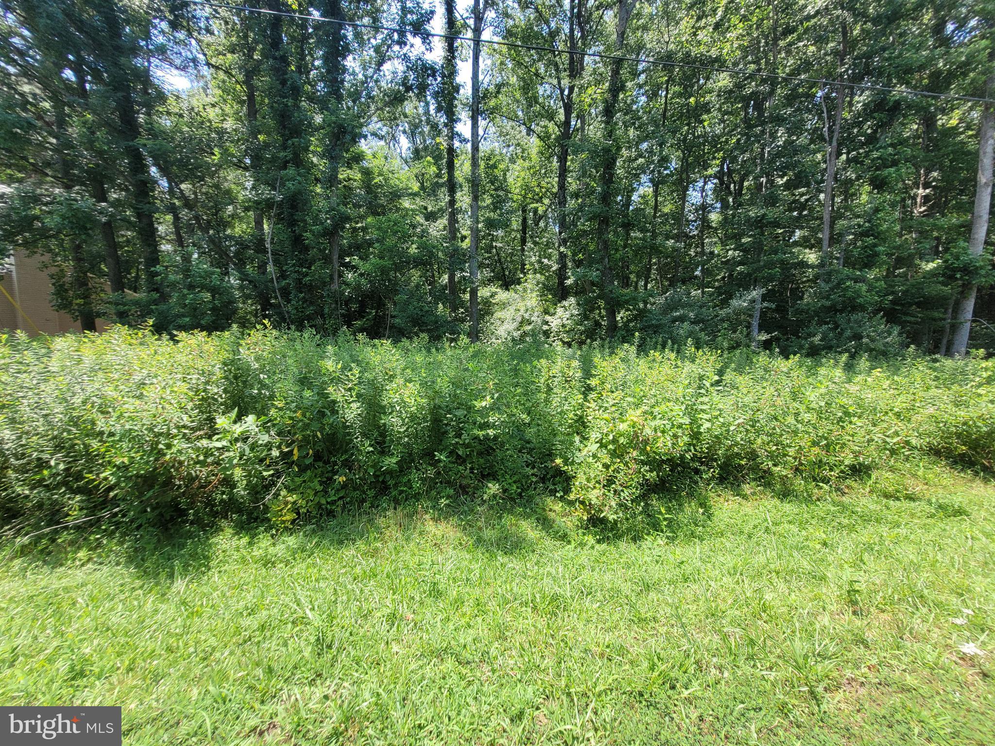 Approximately 0.47-acre wooded lot located in the waterfront community of Stratford Harbour in Montross, Westmoreland County. Property offers the opportunity for a primary residence, vacation home, or investment property within a community that provides access to waterfront and recreational amenities.

Stratford Harbour amenities include Shark Tooth Beach on the Potomac River, Lake Independence, clubhouse, marina with boat launch, tennis courts, security, and community events/newsletter. Conveniently located near area marinas, fishing, boating, and other Northern Neck attractions.