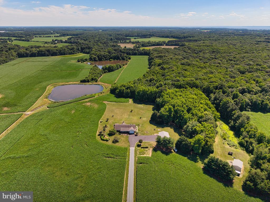 89± Acres Prime Farmland • Exceptional Hunting • Private Pond • Luxury Country Living

Experience the best of Maryland's Eastern Shore on this remarkable 89± acre sporting estate, where productive farmland, exceptional hunting, and refined country living come together in one extraordinary property. Perched atop a picturesque knoll overlooking a private fishing pond, this meticulously maintained estate offers breathtaking panoramic views, complete privacy, and a lifestyle few properties can match.

The beautifully maintained 3-bedroom, 3.5-bath brick rancher has been thoughtfully designed for both comfortable everyday living and effortless entertaining. A welcoming foyer with hardwood flooring leads into spacious living areas filled with natural light. The impressive family room features vaulted ceilings, a dramatic floor-to-ceiling brick fireplace, and expansive windows showcasing spectacular views across the pond, fields, and surrounding countryside.

The gourmet kitchen serves as the centerpiece of the home and features custom two-tone cabinetry, quartz countertops, a large center island, stainless steel appliances, subway tile backsplash, recessed lighting, luxury vinyl plank flooring, and abundant cabinet and workspace. A bright breakfast area overlooks the pond while the formal dining room provides an elegant setting for holiday gatherings and entertaining.

The spacious primary suite offers peaceful views of the surrounding landscape and a private en-suite bath, while two additional bedrooms provide comfortable accommodations for family and guests.

The full basement expands the home's living space with an impressive recreation room featuring a custom bar, making it the perfect gathering place after a day in the field or on the water. The unfinished portion is setup with a utility sink,stove for endless options and storage.
Step outside onto the covered rear porch, where you'll enjoy morning coffee over looking the pond and unforgettable sunsets over the surrounding farmland.

The land is equally impressive. Approximately 50 acres of productive tillable farmland, consisting primarily of highly desirable Matapeake and Sassafras soils, offer exceptional agricultural production and leasing opportunities. Approximately 30 acres of mature hardwoods provide outstanding wildlife habitat, creating one of the area's premier recreational properties.

For sportsmen, this property is truly exceptional. The combination of agricultural fields, mature timber, and water creates ideal habitat for wildlife, offering excellent whitetail deer, wild turkey, and goose hunting. An established goose pit in a prime area  provides outstanding waterfowl opportunities, along with a private pond. 

Additional improvements include a 30' x 40' pole barn with ample room for tractors, equipment, recreational vehicles, or workshop space, as well as a 16' x 24' open equipment shed. Beautiful landscaping, an oversized paved driveway, and meticulously maintained grounds further complement this exceptional estate.

Whether you're seeking a productive farm, a premier hunting retreat, an income-producing investment, or a private family estate, this rare offering delivers an unmatched combination of luxury, recreation, and agricultural value.

Property Features
89± Acres
Beautiful 3 Bedroom | 3.5 Bath Brick Rancher
Elevated Homesite with Panoramic Views
Gourmet Kitchen
Quartz Countertops & Custom Cabinetry
Vaulted Great Room with Floor-to-Ceiling Brick Fireplace
Hardwood Flooring
Full Basement with Finished Recreation Room & Custom Bar
Covered Rear Porch
Approximately 50 Acres of Prime Tillable Land
Predominantly Matapeake & Sassafras Soils
Approximately 30 Acres of Mature Woodland
Exceptional Deer, Turkey & Waterfowl Hunting
Established Goose Pit
30' x 40' Pole Barn
16' x 24' Open Equipment Shed
Beautifully Landscaped G