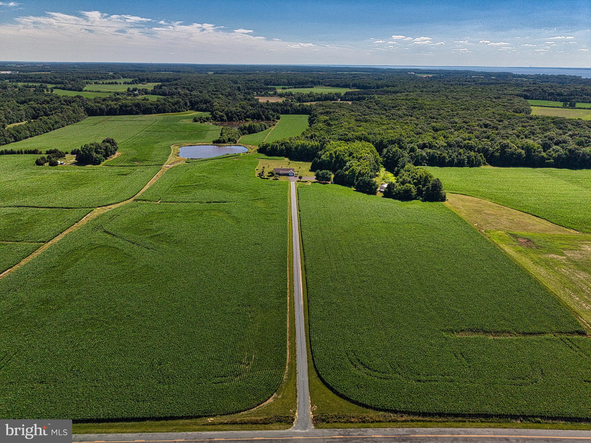Coming soon! Remarkable 89 Acre Kent County Farm,