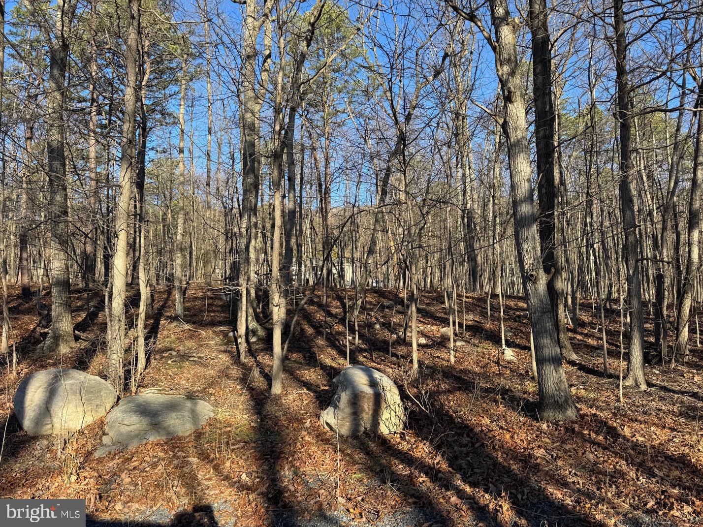 WILDE  ACRES - Land