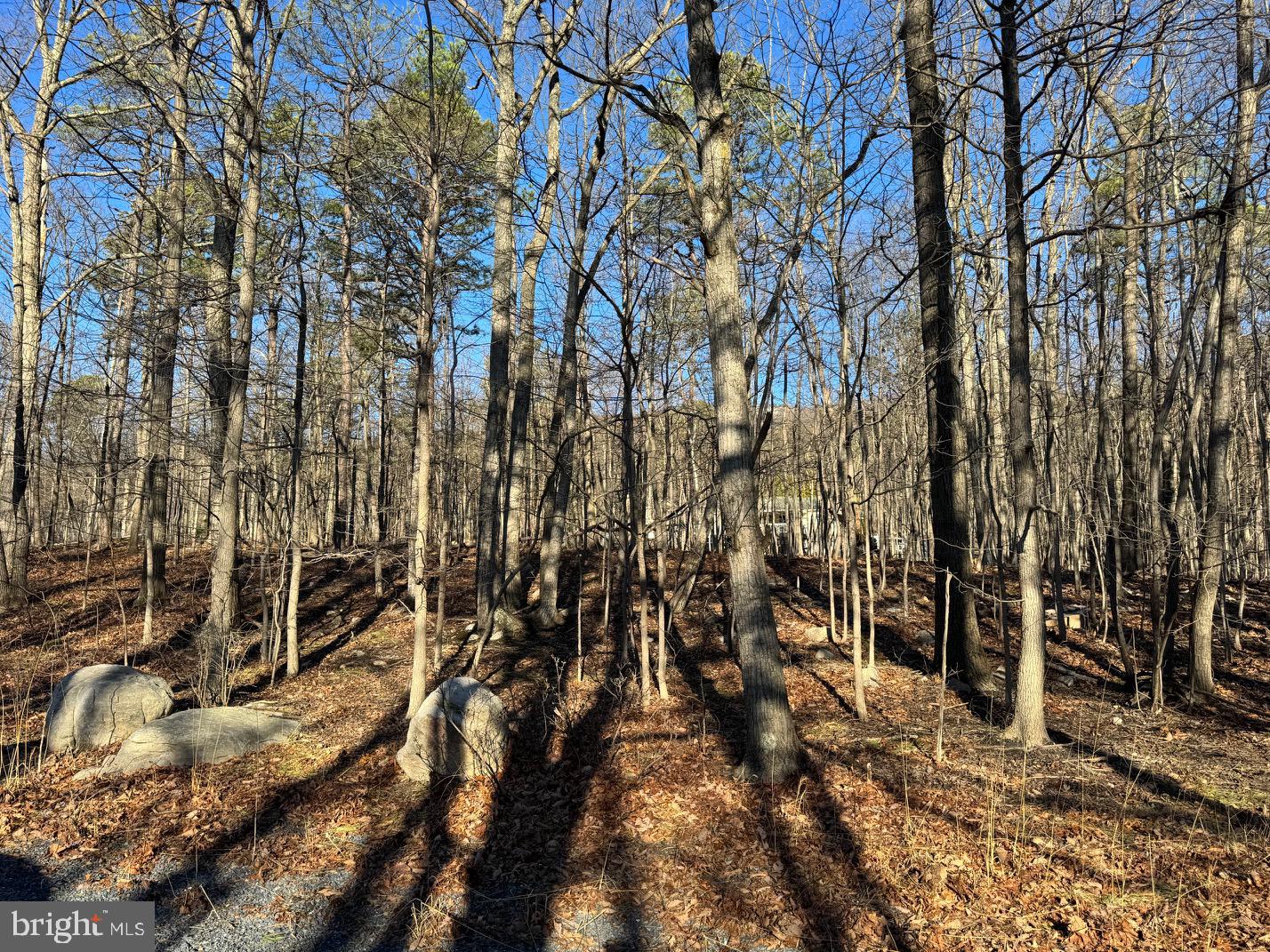 WILDE  ACRES - Land