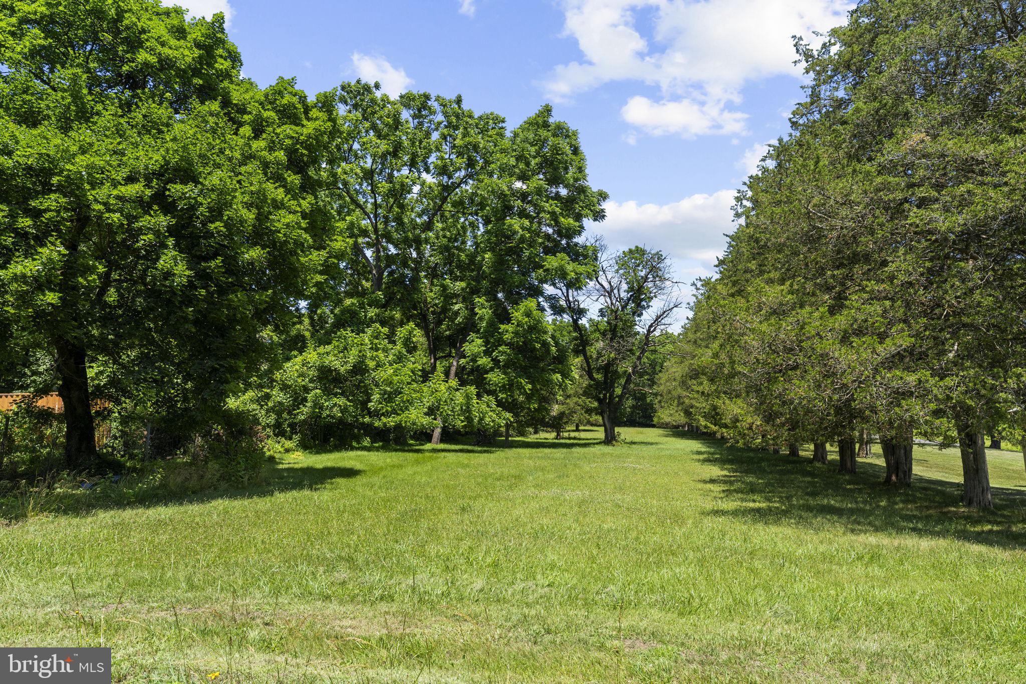 CHESTNUT GROVE - Residential