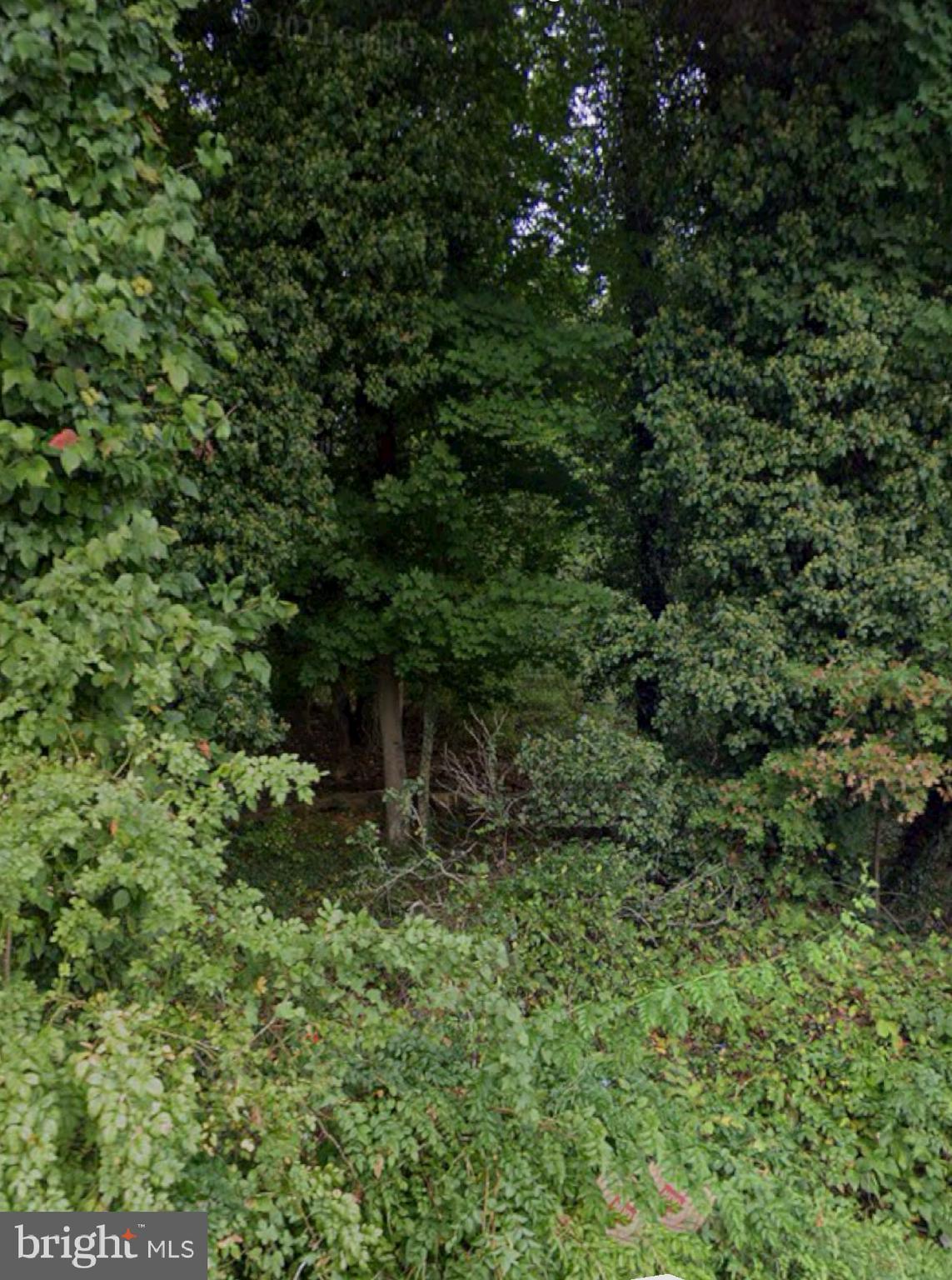 Discover the perfect canvas to bring your vision to life! This spacious and untouched parcel of raw land offers a unique opportunity for investment. Nestled in a tranquil setting, this property provides a rare blend of privacy, natural beauty, and accessibility.
Legal address is 309 Rollins Ave, Capitol Heights, MD 20743. Buyers do your due diligence.