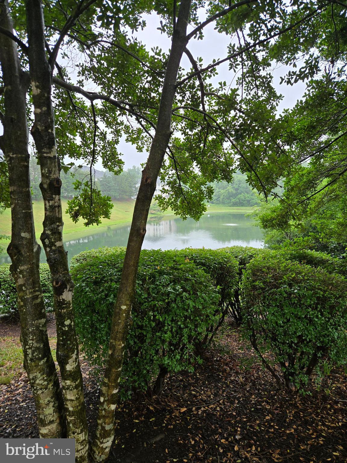 PROSPECT COVE AT LAKESID - Residential