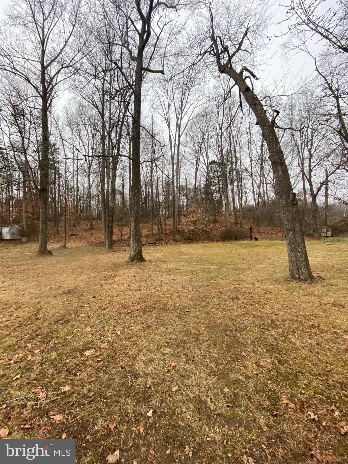 Opportunity awaits with this well-located .33ac property. Build your own single family home on this land or hold it as an investment for your future.  Tall mature tress and amply yard space for your enjoyment . Situated in a desirable area with quick and convenient access to major routes, shopping, and local amenities.  No HOA to interfere with your dreams and no HOA expense. 
The seller represents that public water and public sewer are available to tap into, adding significant value and reducing development uncertainty.  Documentation of water and sewer access available on request. These documents provided by Stafford County Government to the seller. Buyers are encouraged to perform their own due diligence to confirm utility availability, tap fees, zoning, and intended use. A rare chance to secure a property with existing public utility access in a growing area.