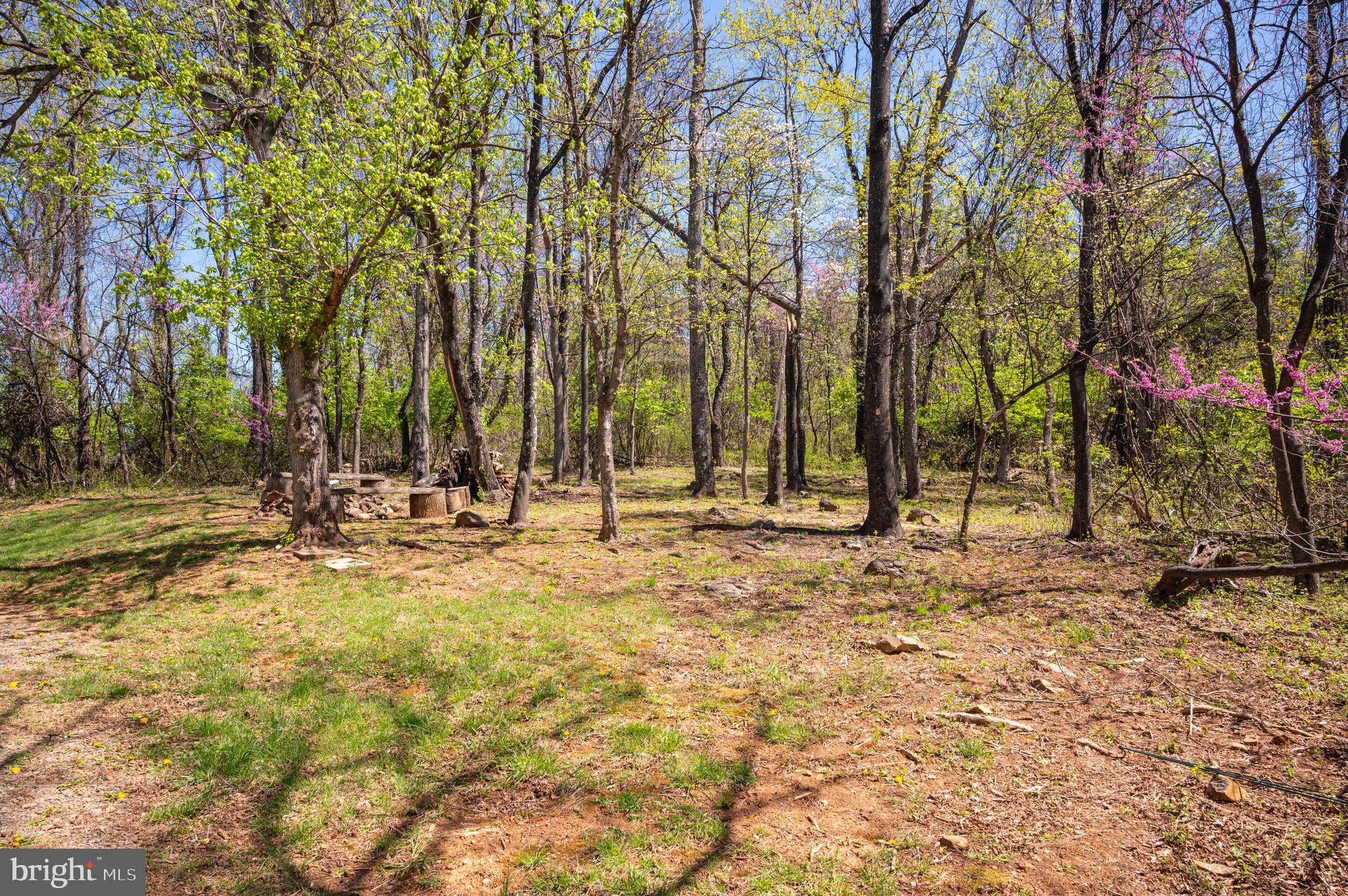 KING MASON TRACT - Residential