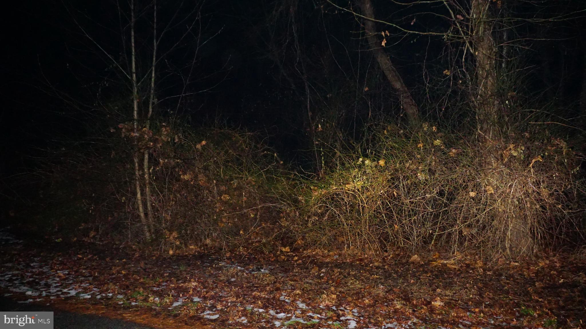 Large lot in desirable area of Millersville located adjacent to Severna Park and close proximity to major routes and shopping. Build your dream home on a very large lot! Buyer to do all due diligence with AA County. Schedule online and drive by.