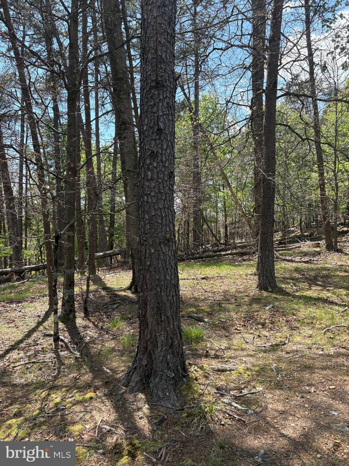 Back on the market - no fault of the Seller nor the Property!

3 Acres of Wooded Land – Berkeley Springs, WV 
Discover your slice of West Virginia paradise! This beautiful 3-acre wooded lot offers a gentle slope, making it ideal for building your dream home, cabin, or weekend retreat.

 Property Highlights:
• Lightly restricted for flexibility and peace of mind
• Scenic wooded setting with natural privacy
• Gently sloping terrain—perfect for building
• Easy access to town and outdoor recreation

Located just minutes from historic downtown Berkeley Springs, known for its vibrant shops, local restaurants, and charming parks.
Enjoy nearby outdoor adventures at Cacapon State Park, featuring hiking, golfing, and stunning mountain views.
Whether you're looking to build now or invest for the future, this property offers the perfect blend of tranquility and convenience.

Call for more details or to schedule a visit!