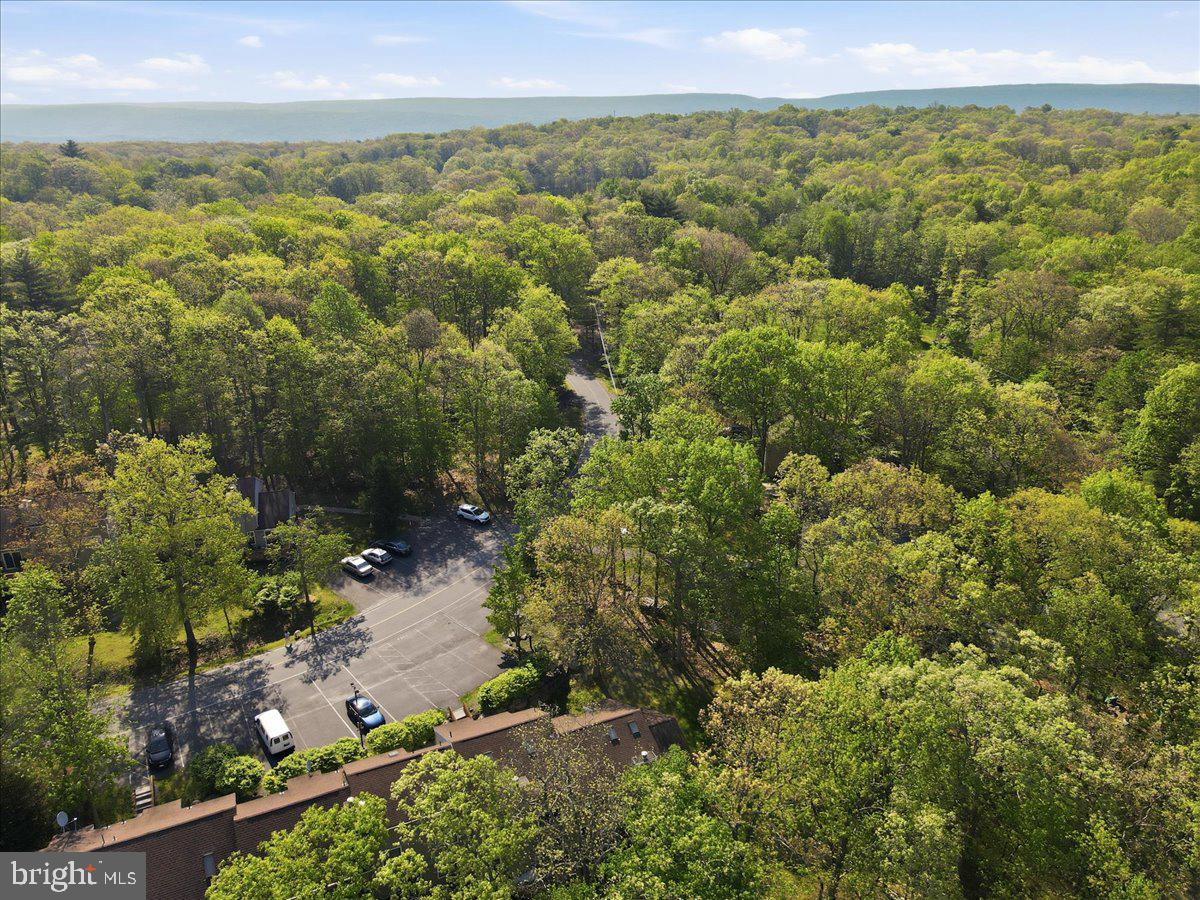 MILL POND (SAW CREEK) - Residential